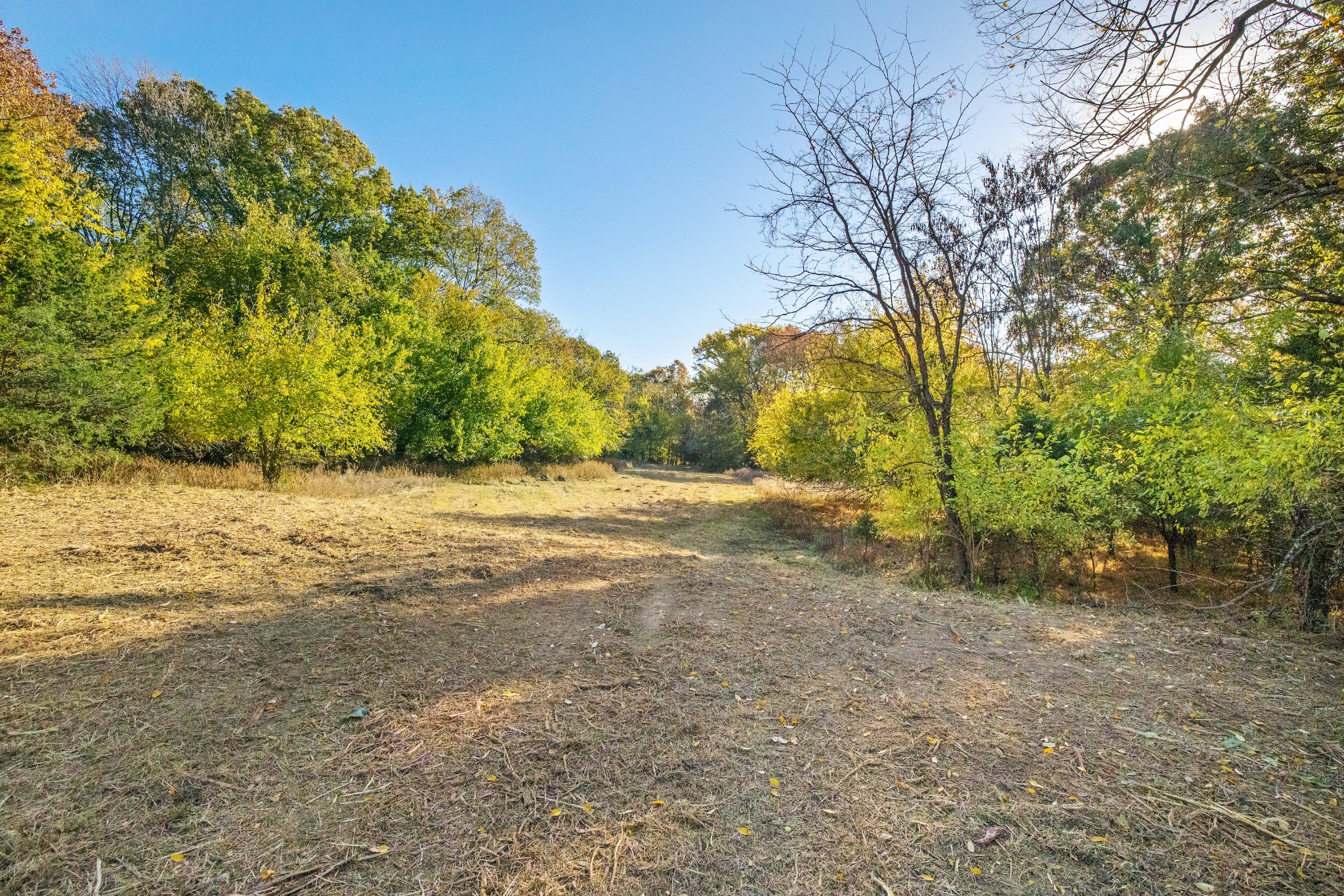 4659 Bennett Hollow Rd