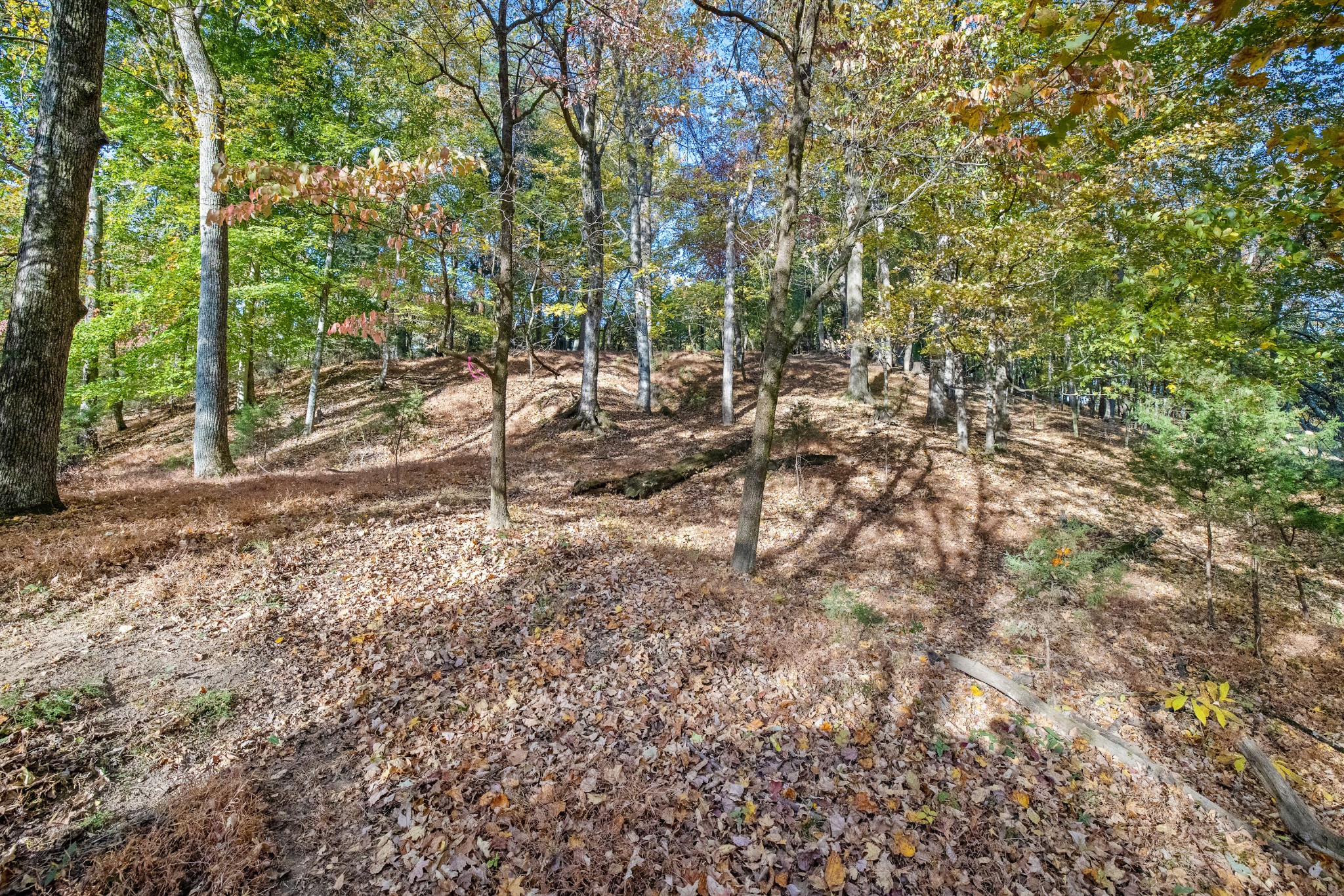 4659 Bennett Hollow Rd