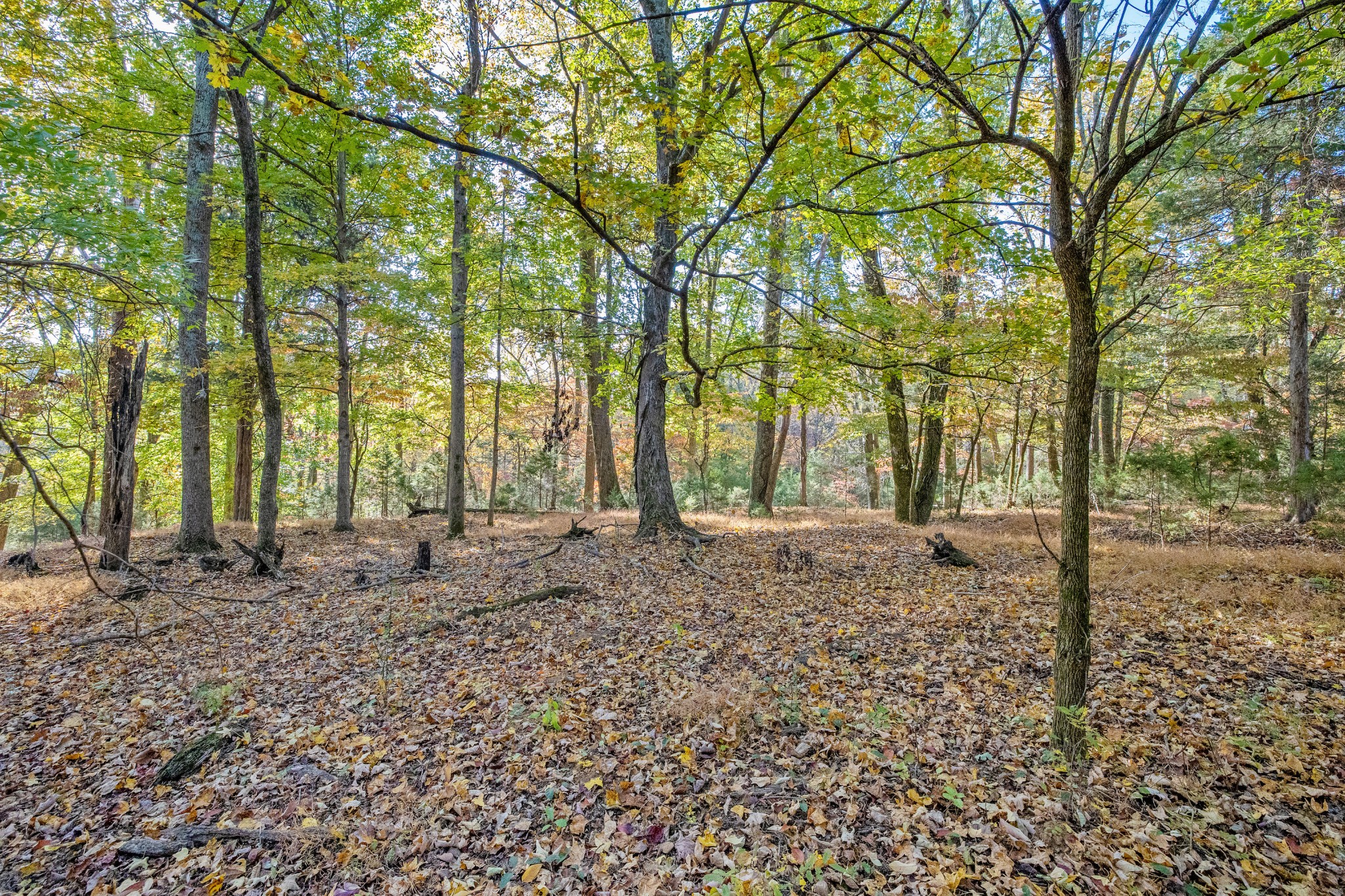 4659 Bennett Hollow Rd