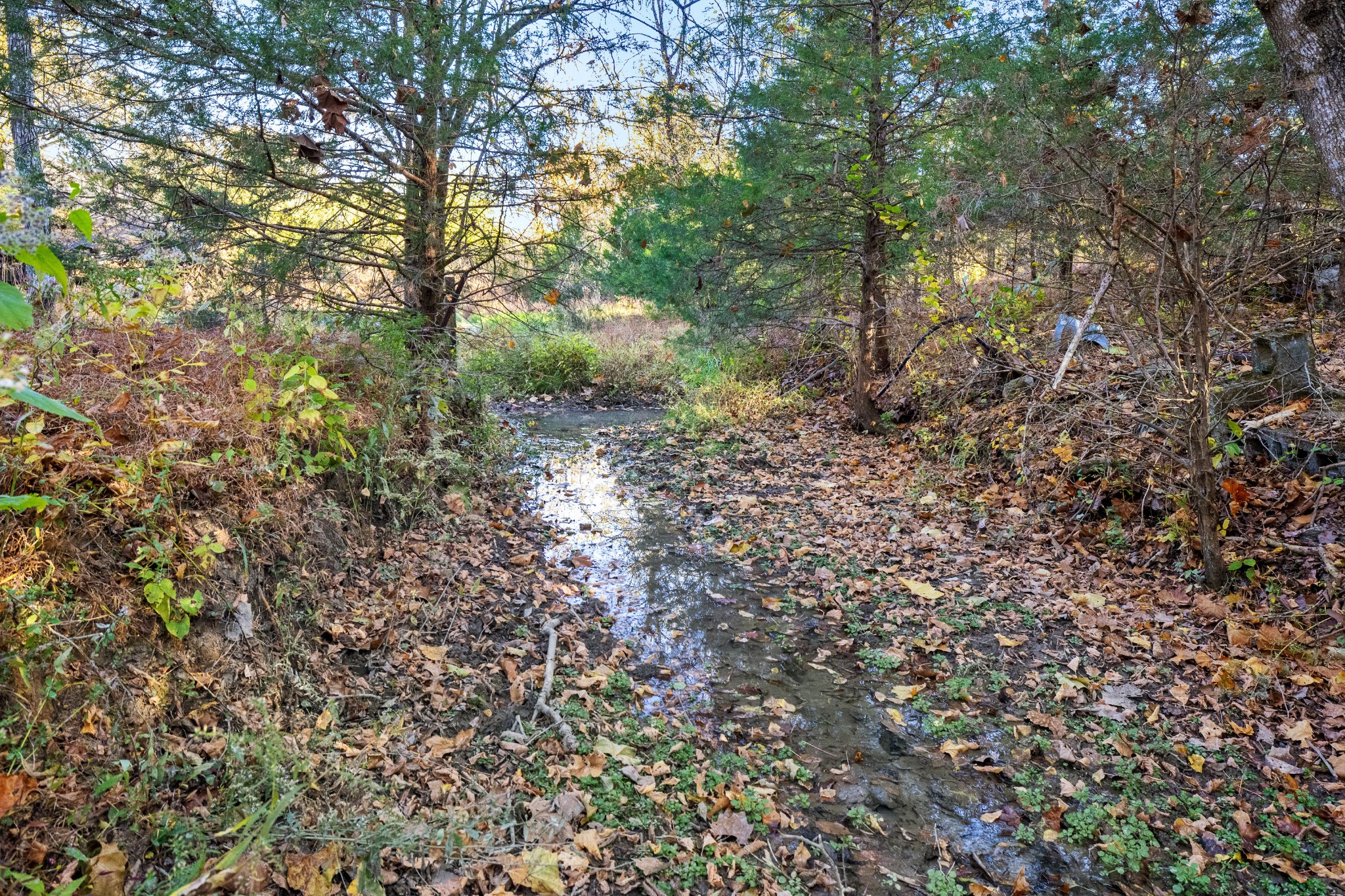 4659 Bennett Hollow Rd