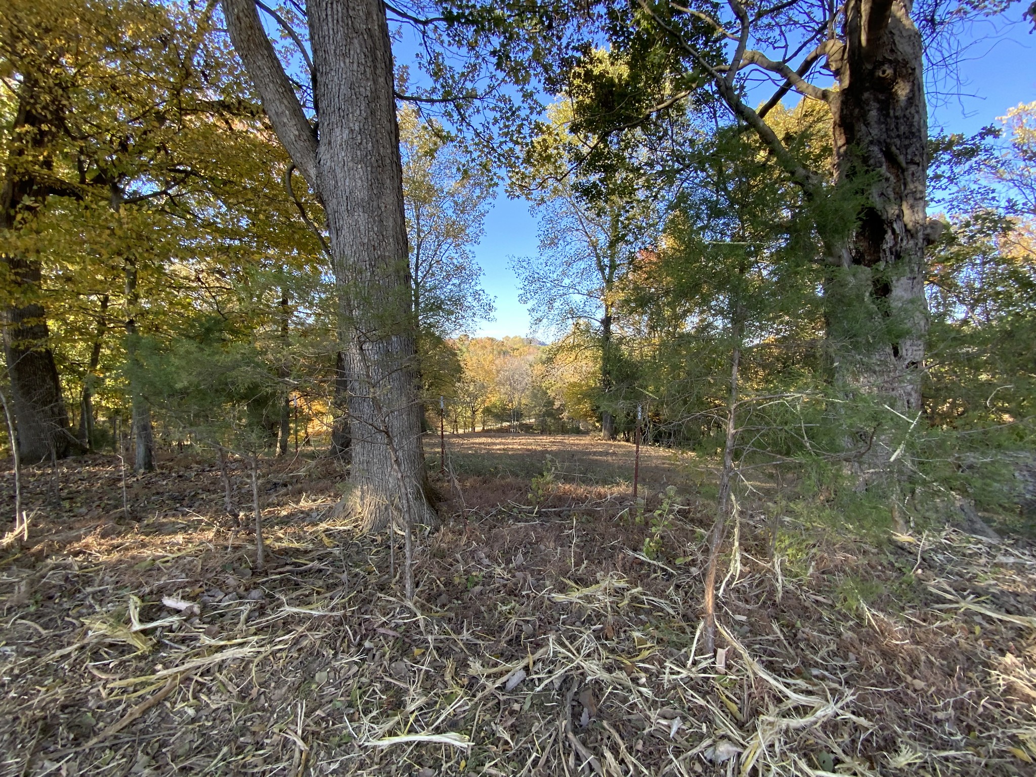 4659 Bennett Hollow Rd