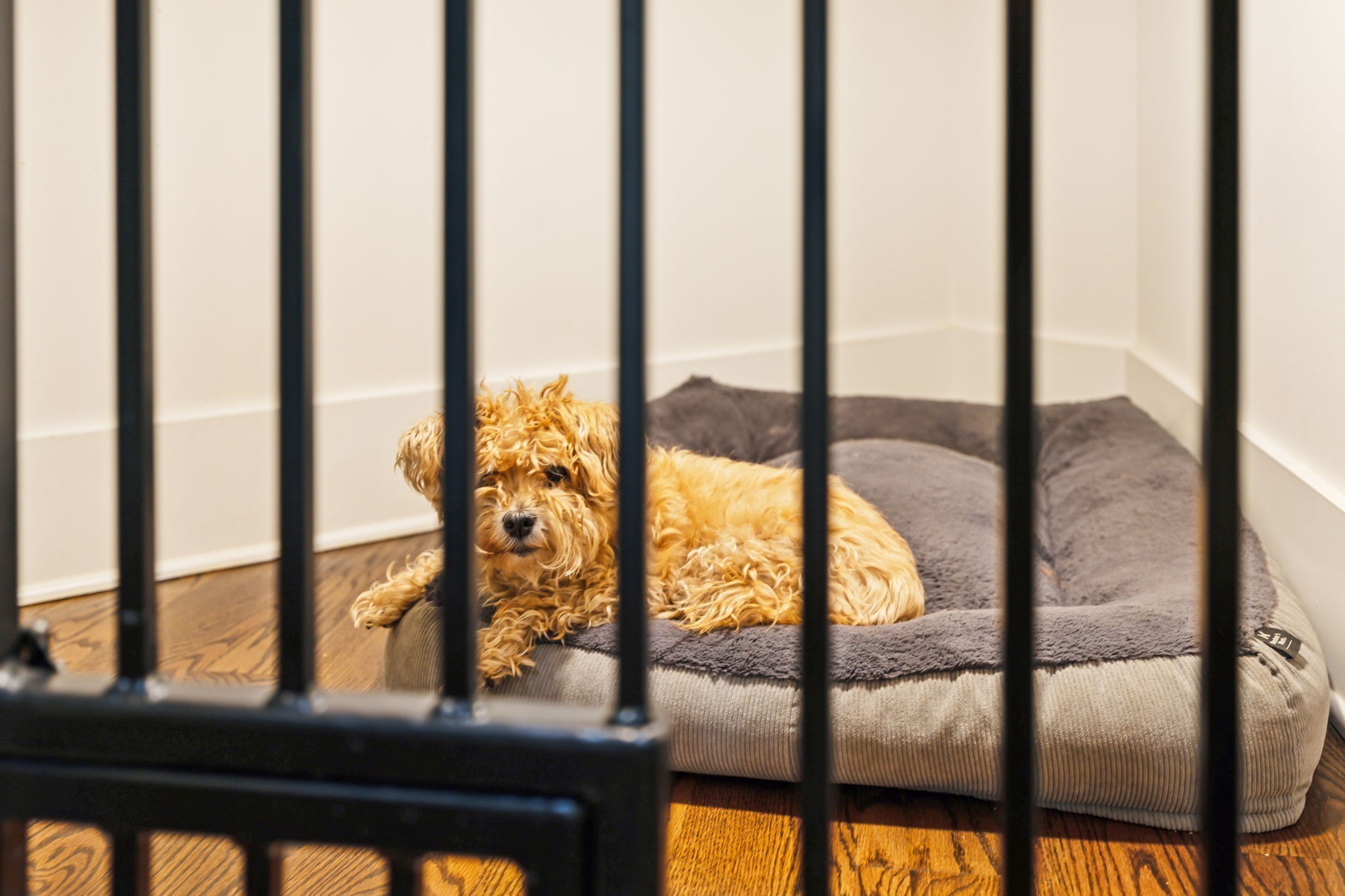 5507 Broken Ridge Hollow Ln