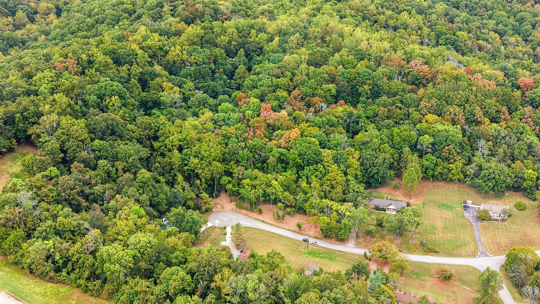 218 Forest Ridge Ct