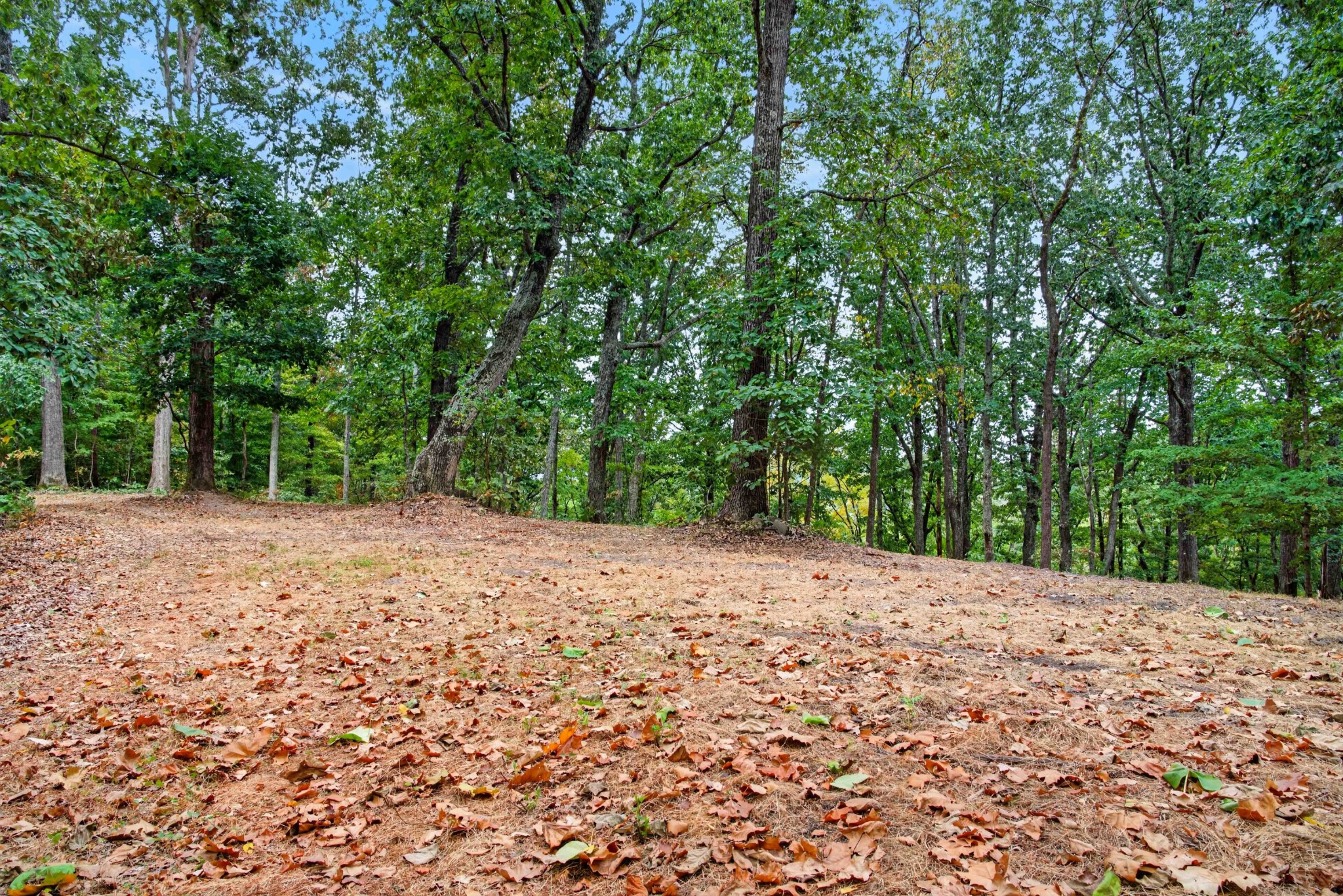 218 Forest Ridge Ct