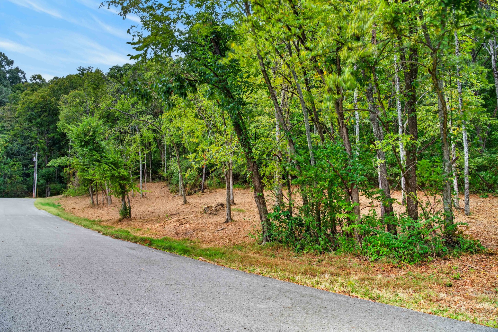218 Forest Ridge Ct