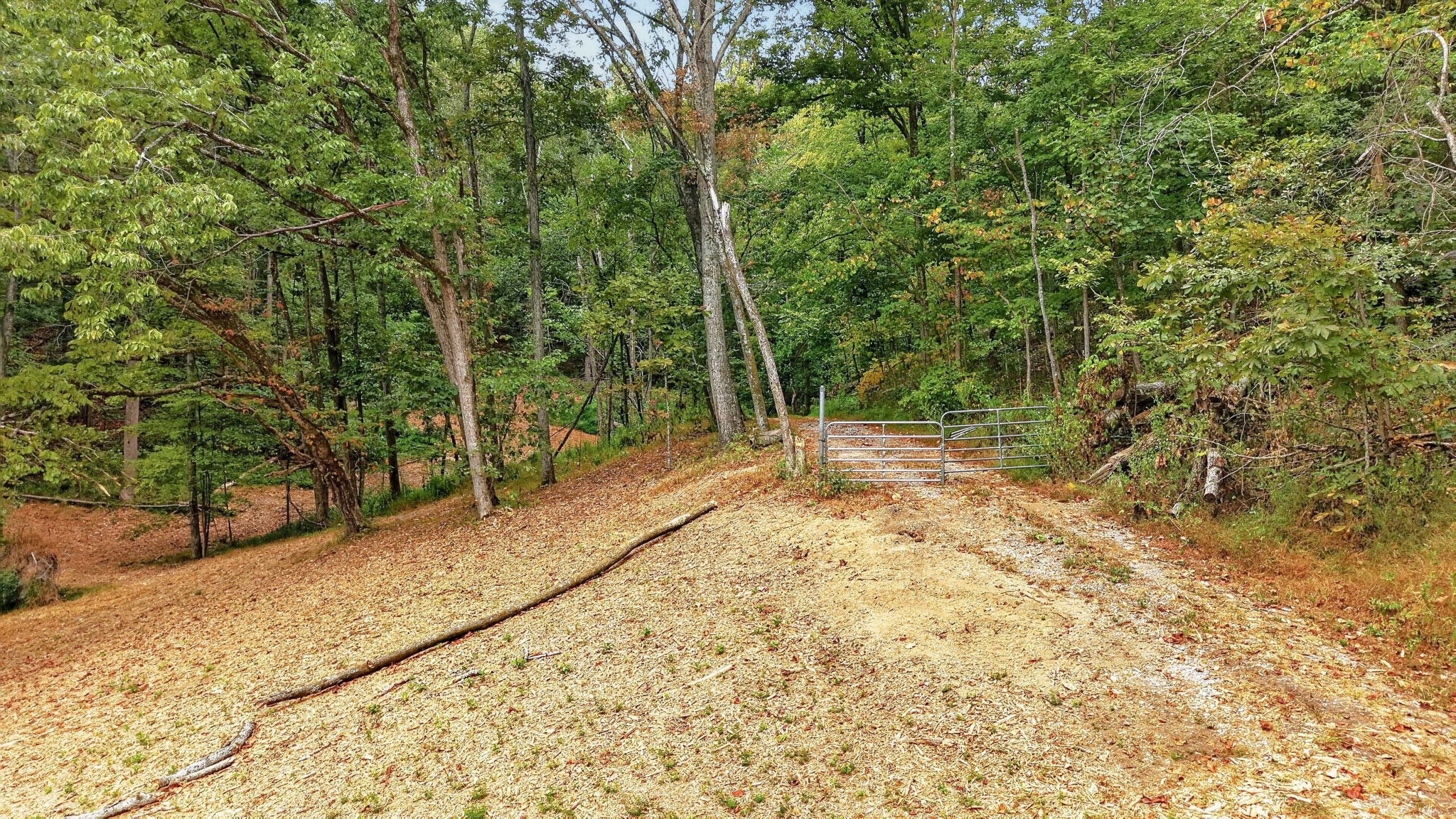218 Forest Ridge Ct