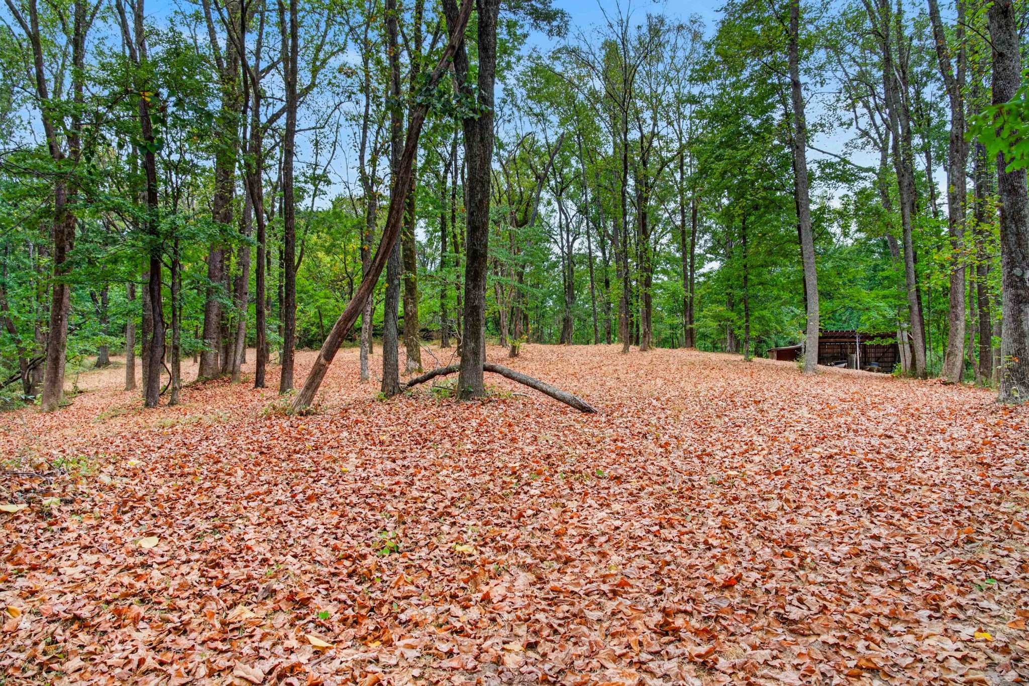 218 Forest Ridge Ct
