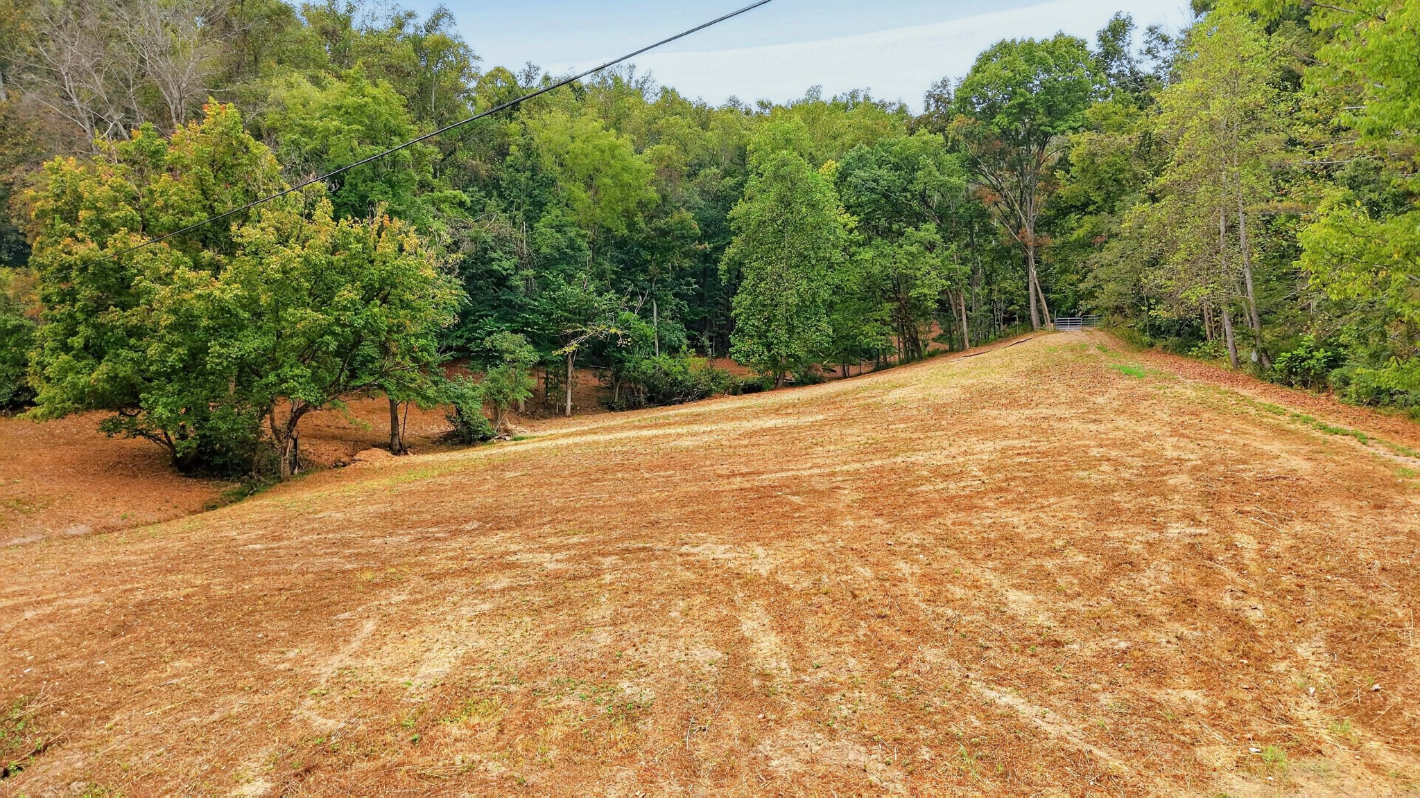 218 Forest Ridge Ct