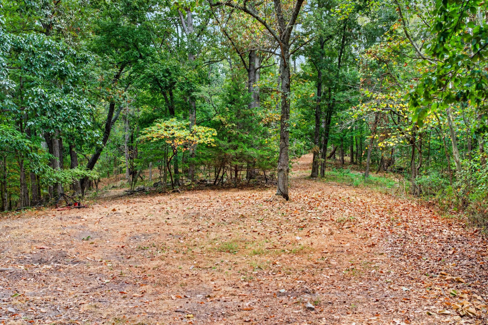 218 Forest Ridge Ct