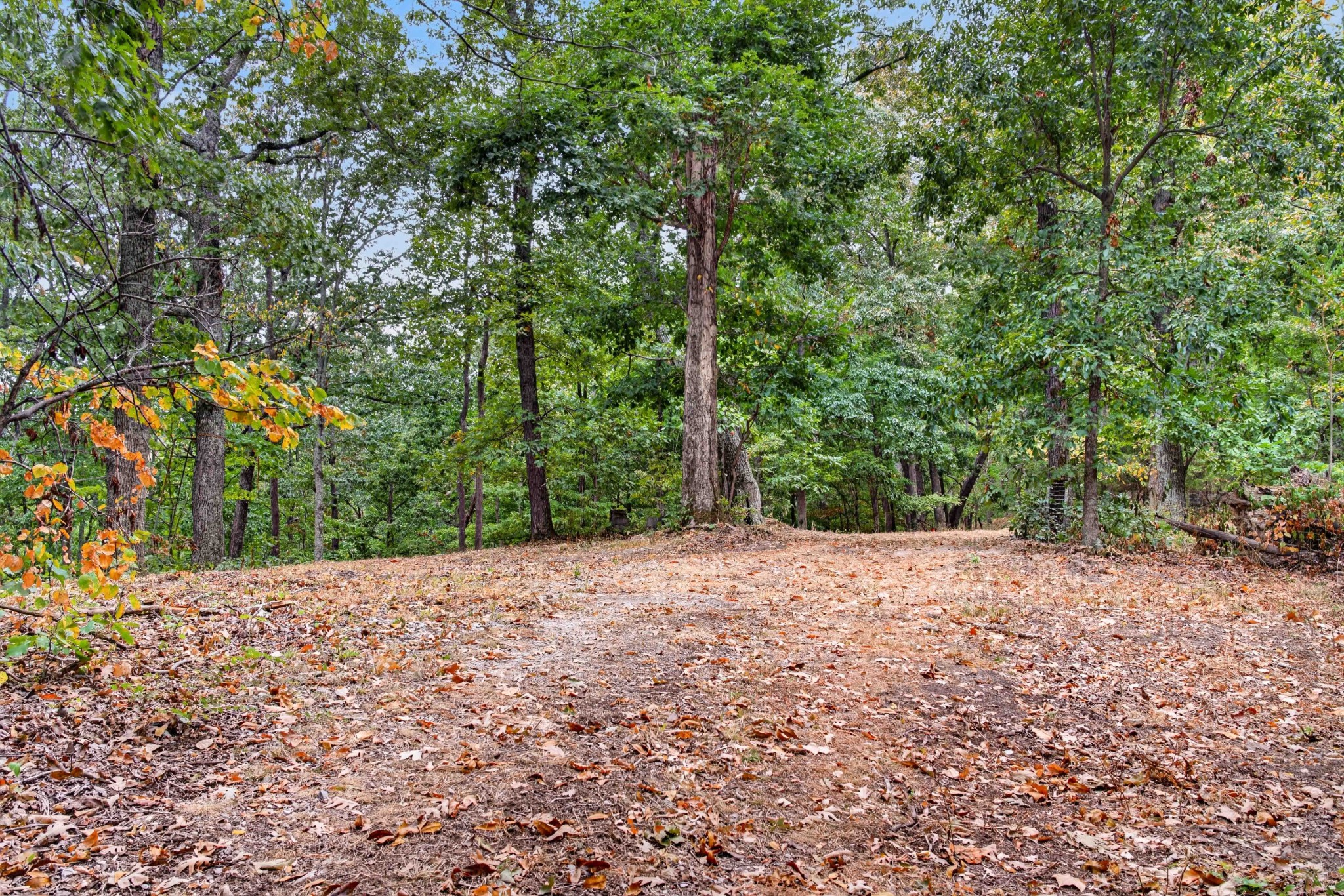 218 Forest Ridge Ct