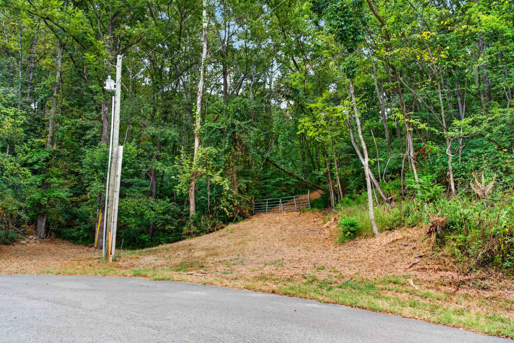 218 Forest Ridge Ct