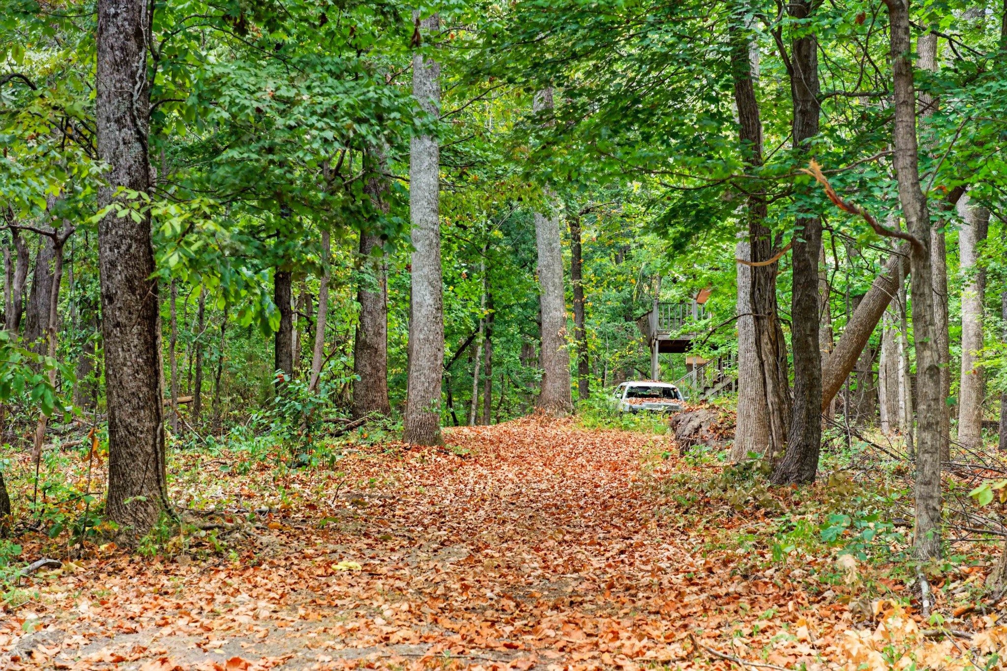 218 Forest Ridge Ct