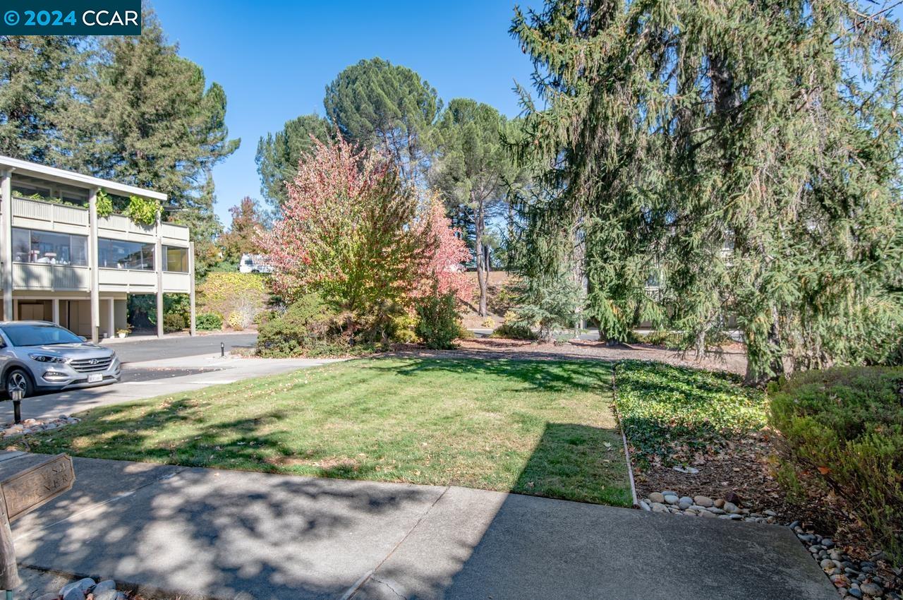 3033 Golden Rain Rd # 8