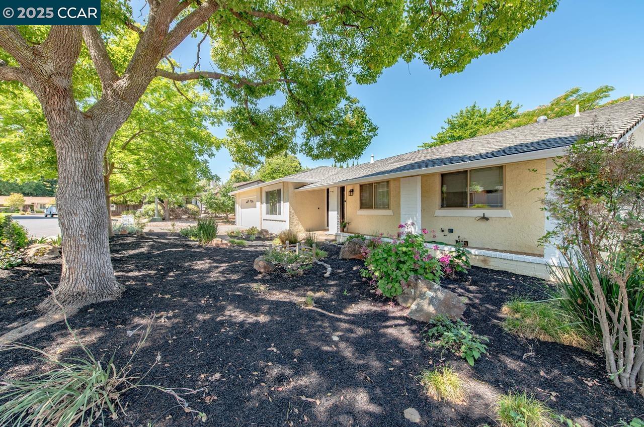 1209 Redlands Way