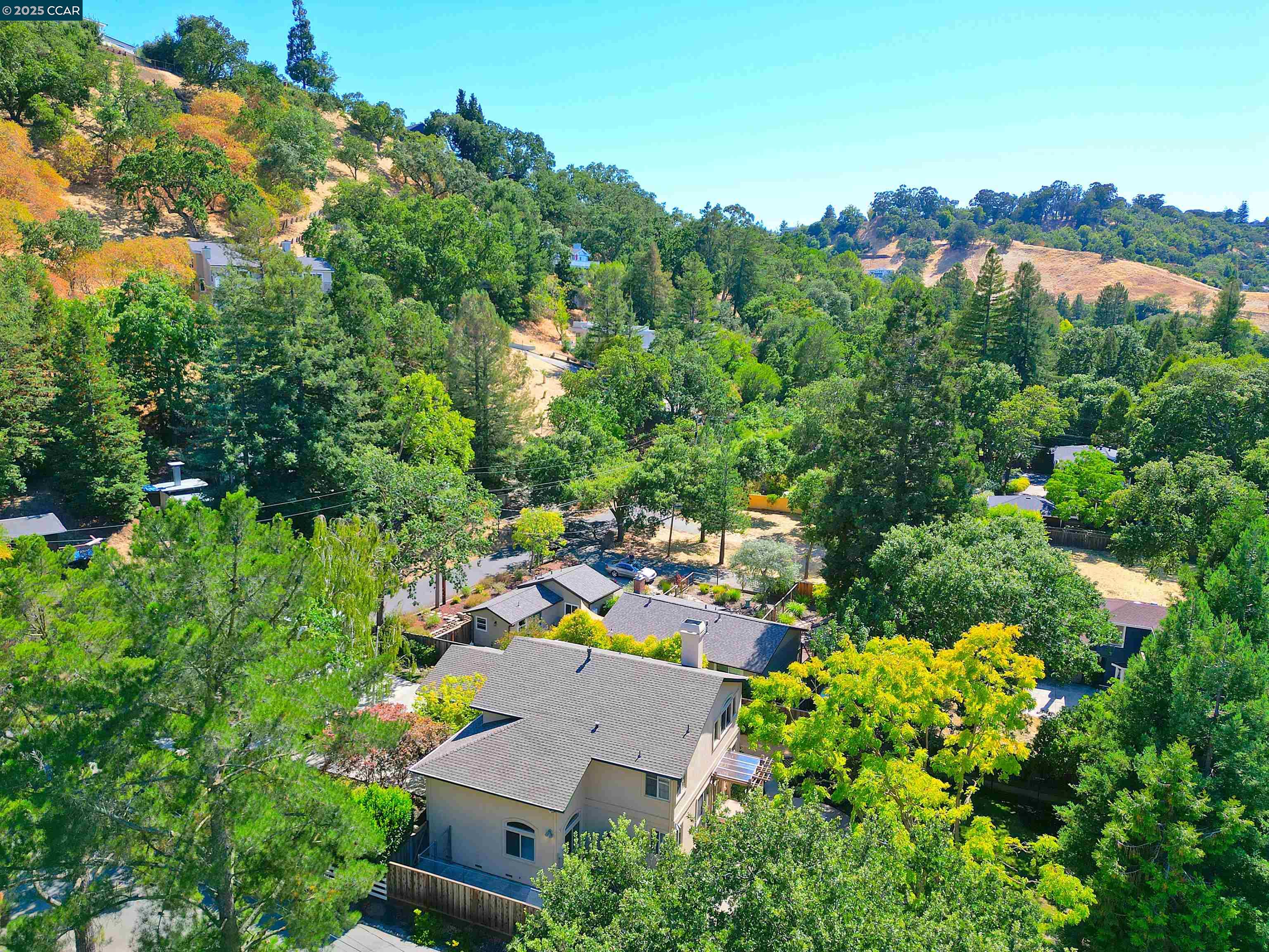 204 Sequoia Avenue