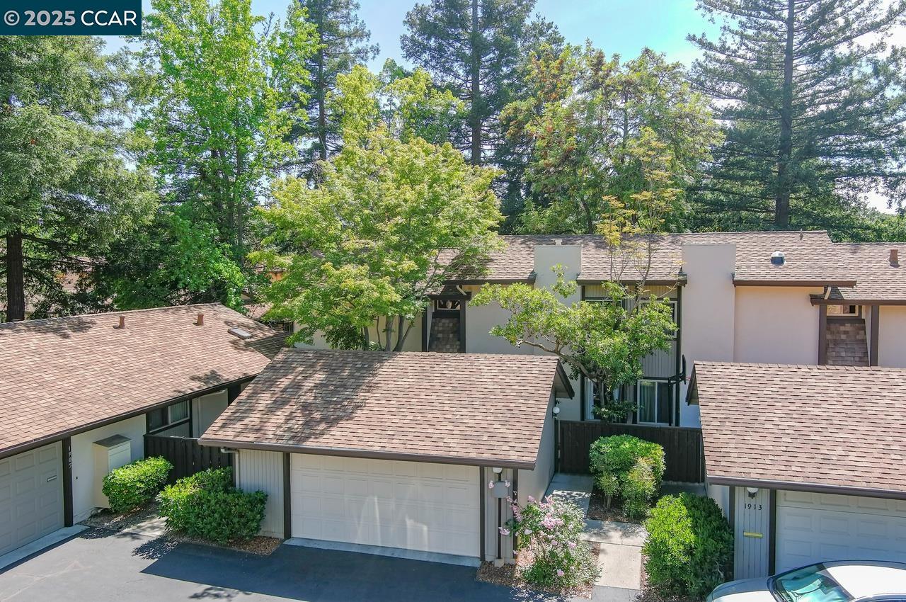 1909 Country wood Ct