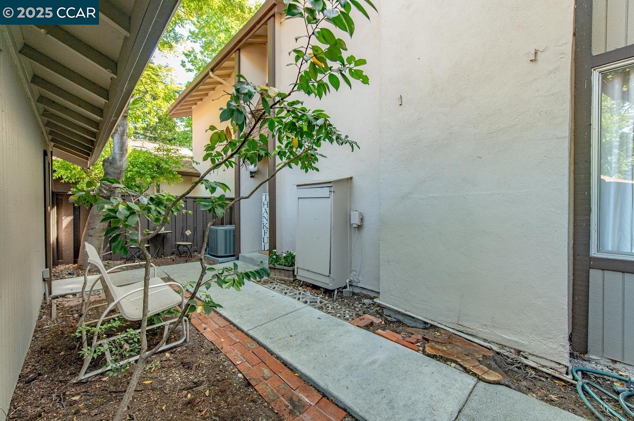 1909 Country wood Ct