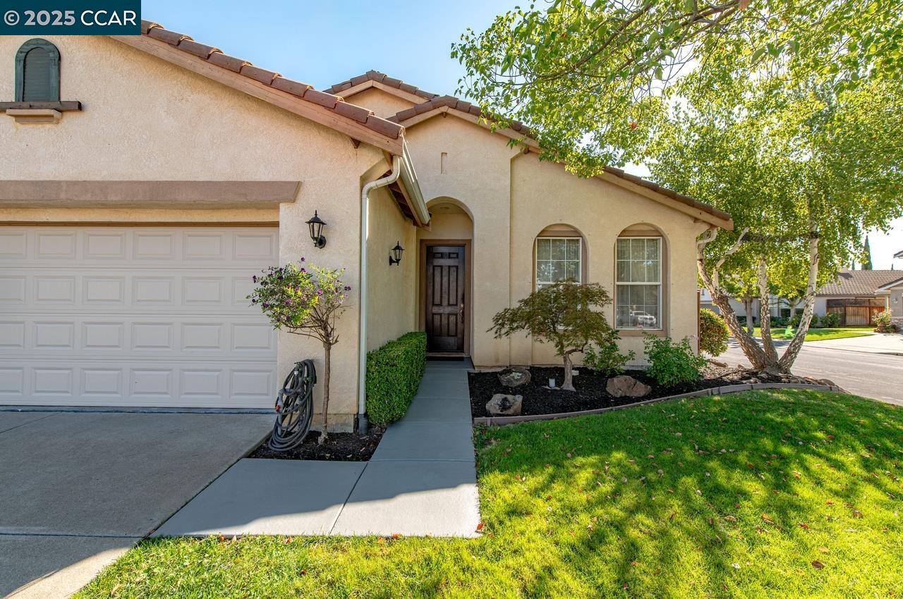 10 Narcissus Ct