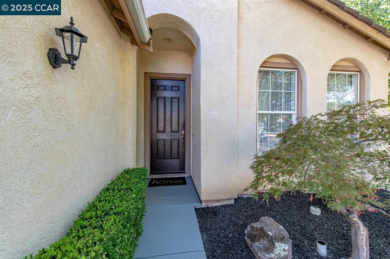 10 Narcissus Ct
