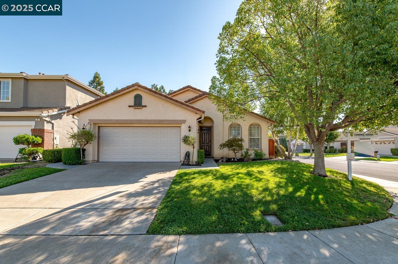 10 Narcissus Ct