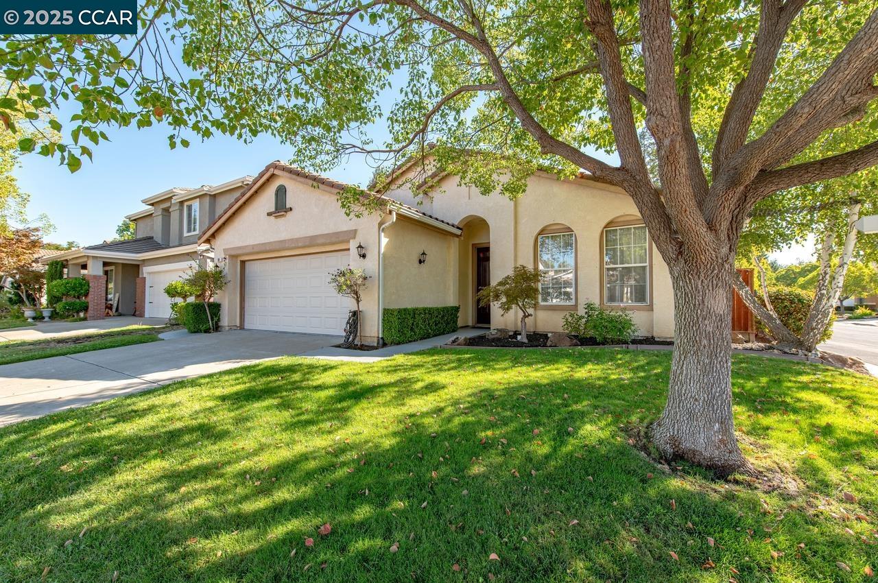 10 Narcissus Ct
