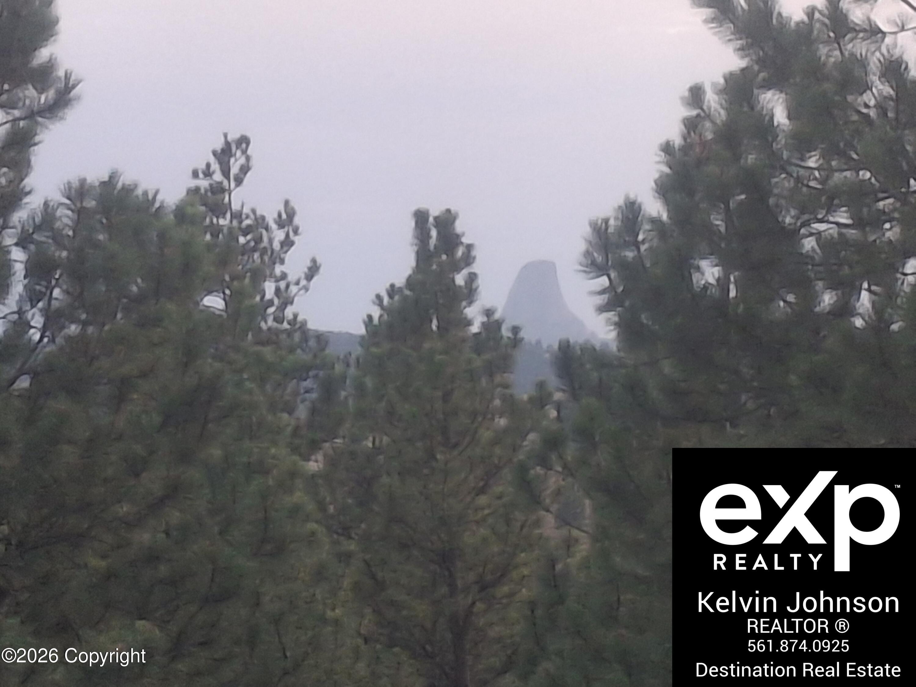 57 1/2 Tower View -