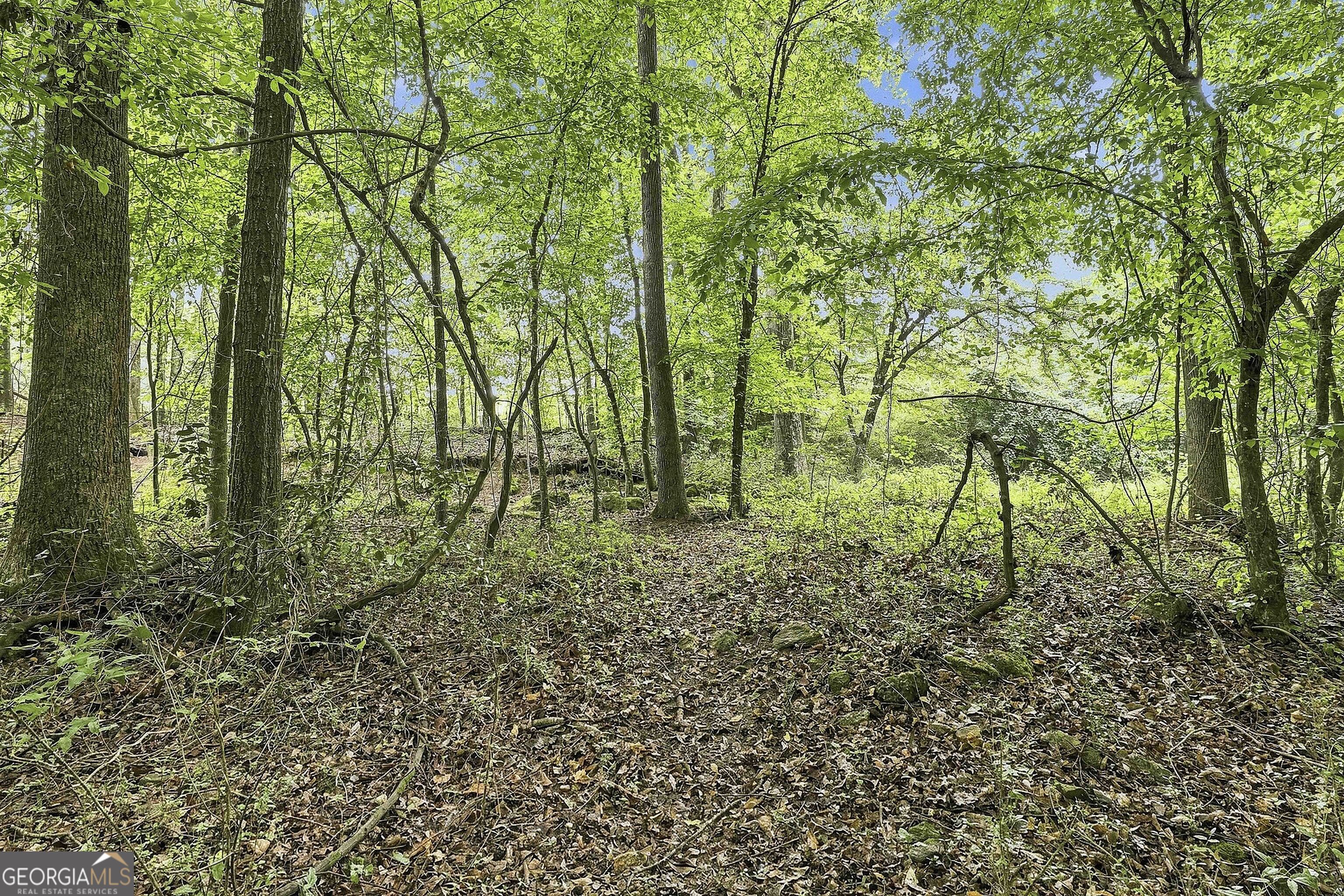 413 Lees Mill Road