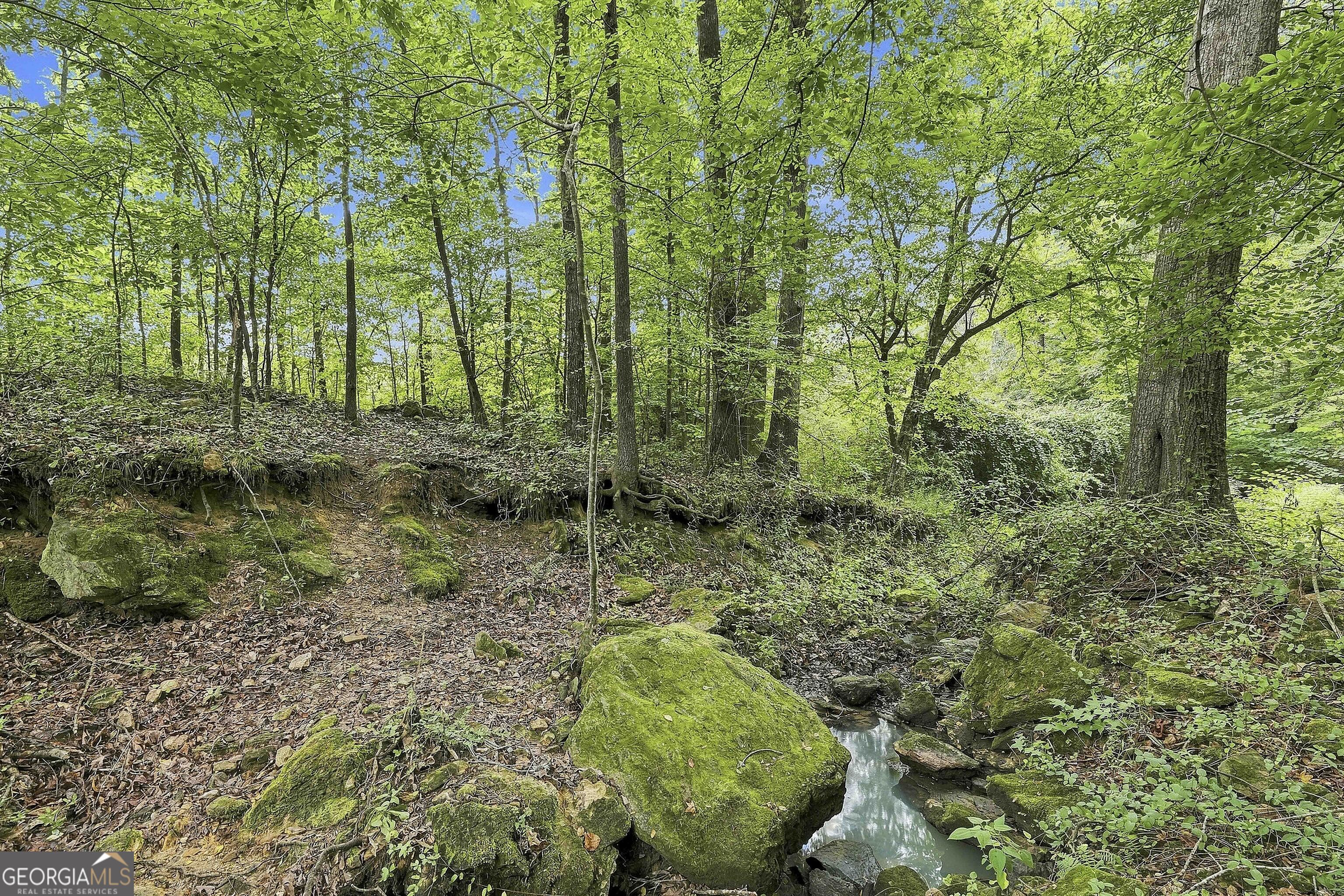 413 Lees Mill Road