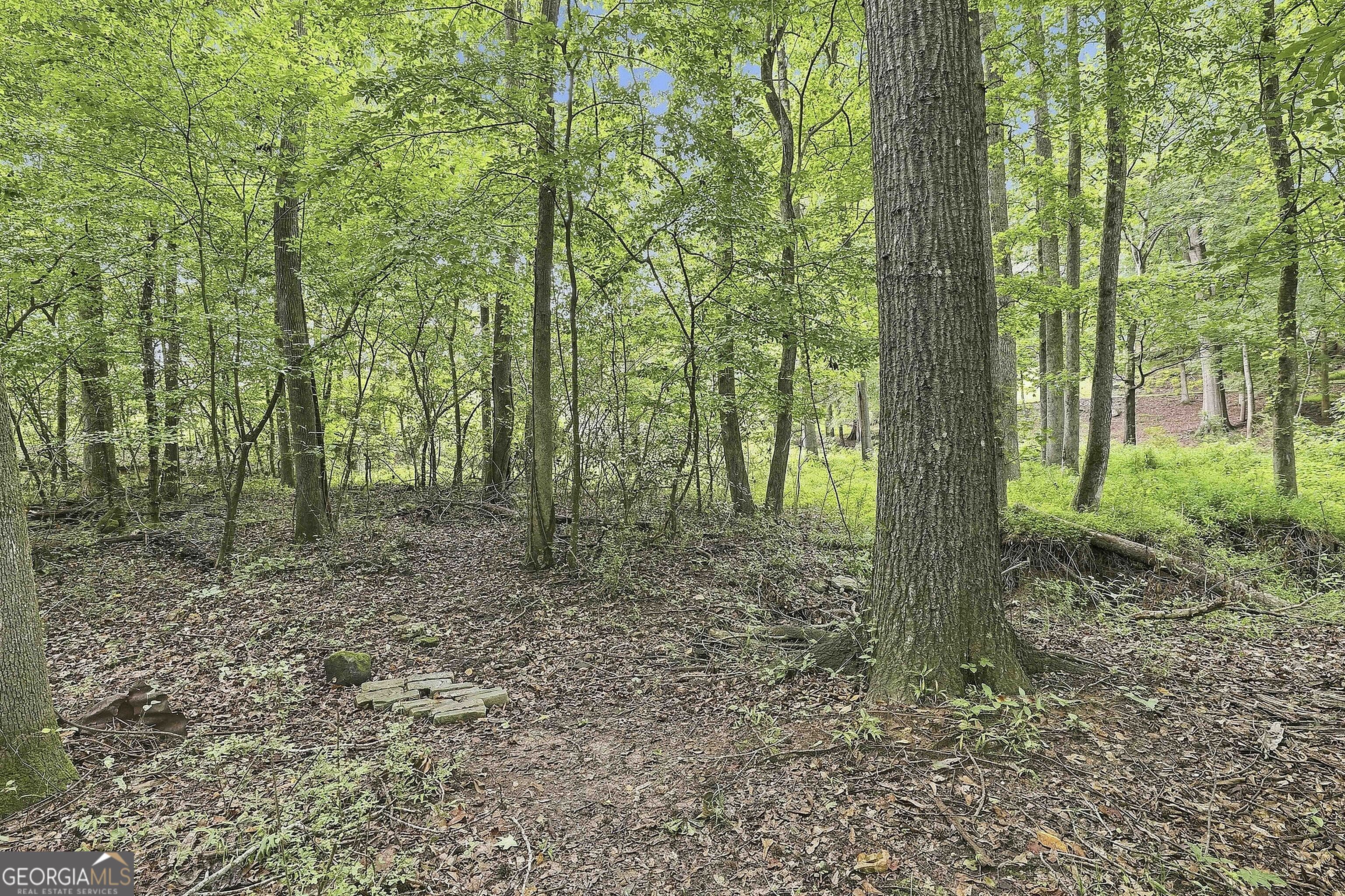 413 Lees Mill Road