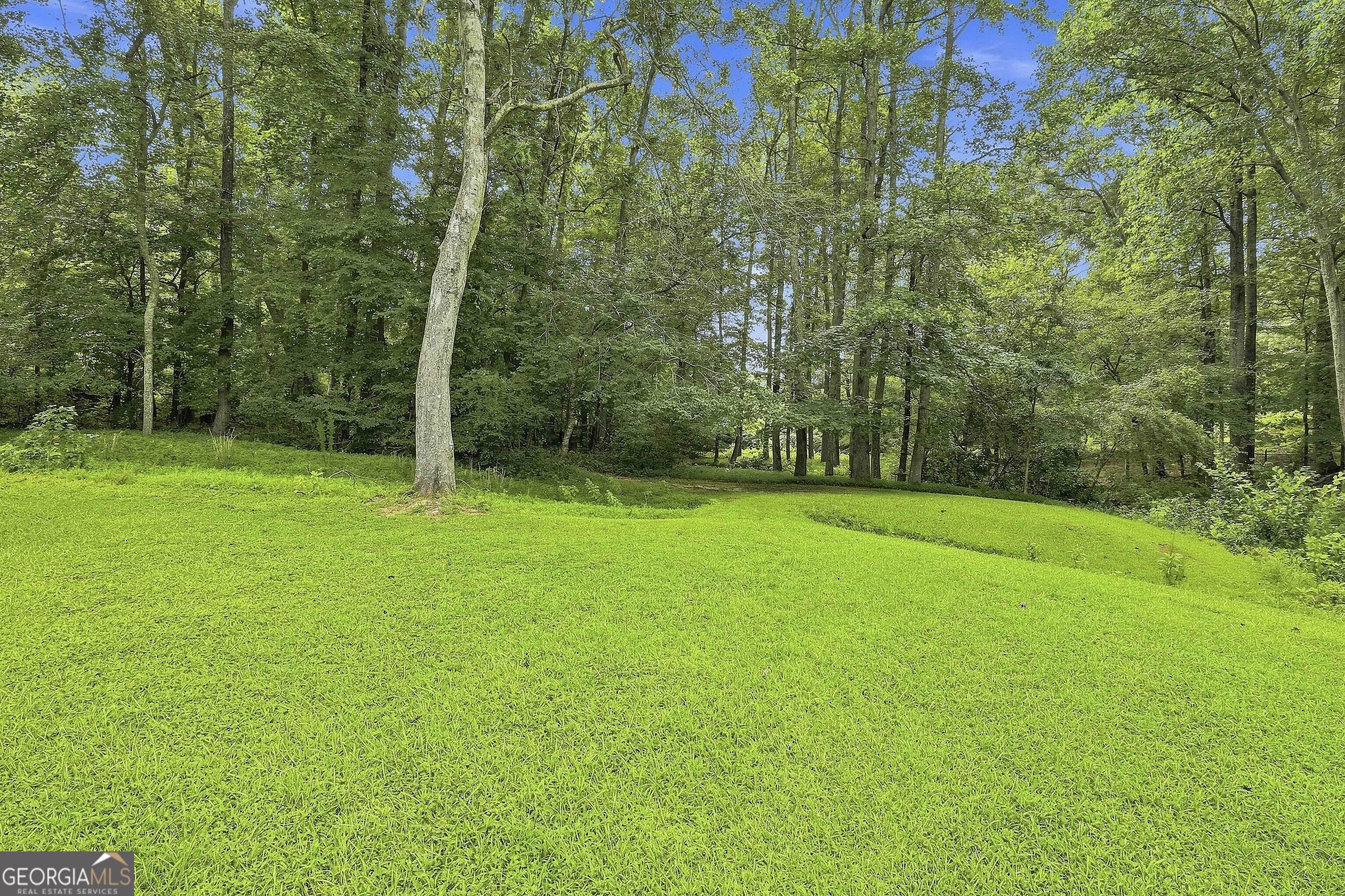 413 Lees Mill Road