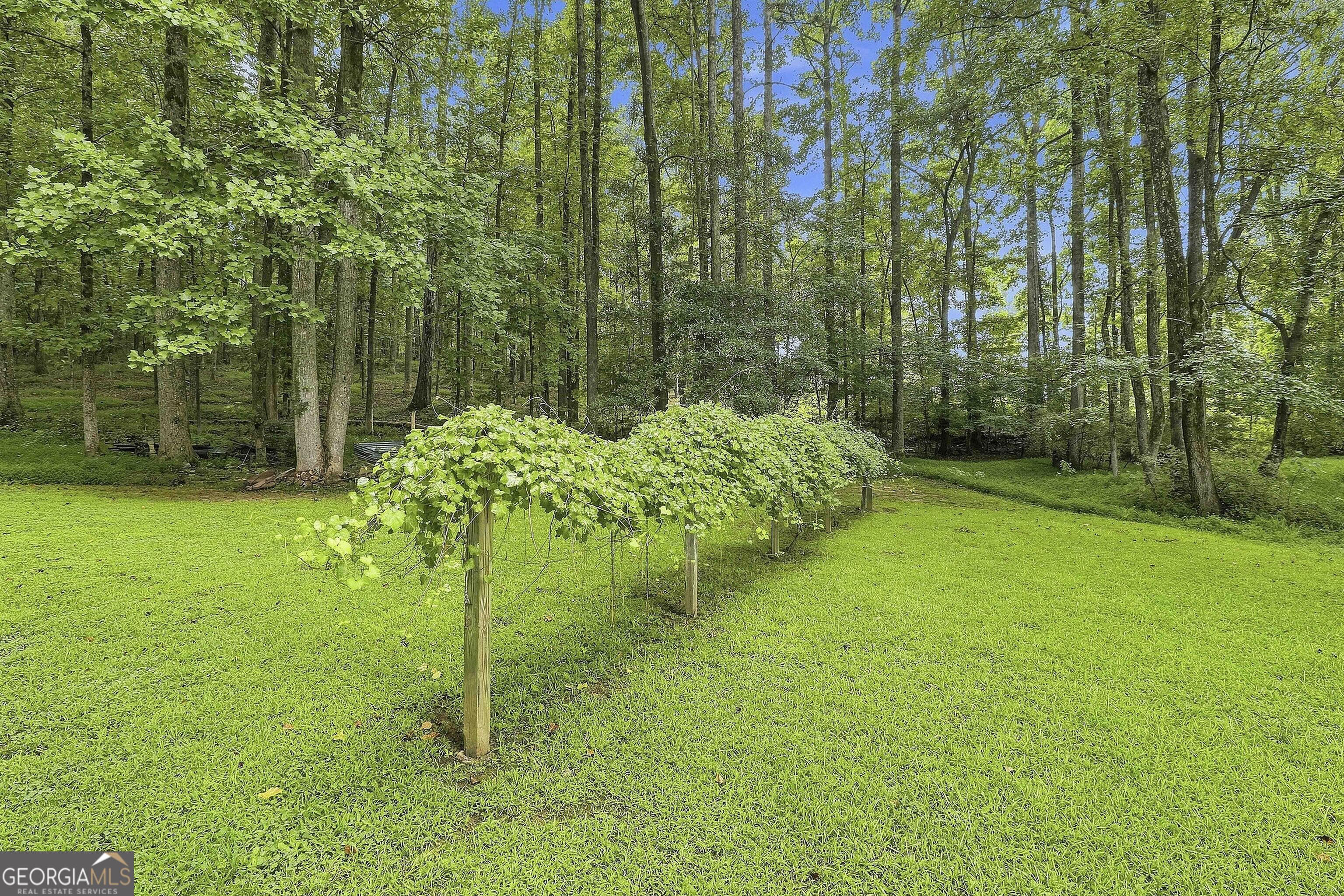 413 Lees Mill Road