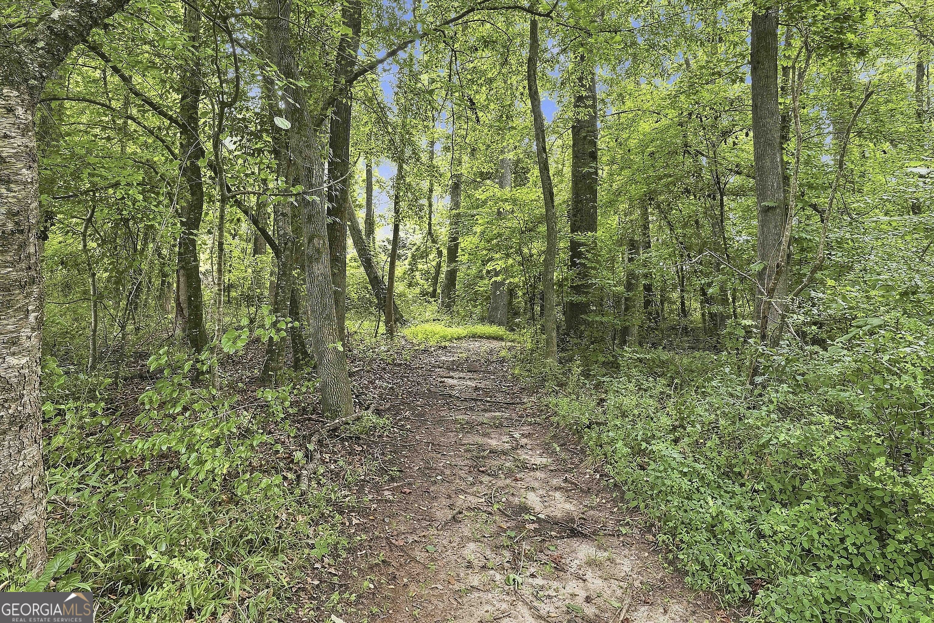 413 Lees Mill Road