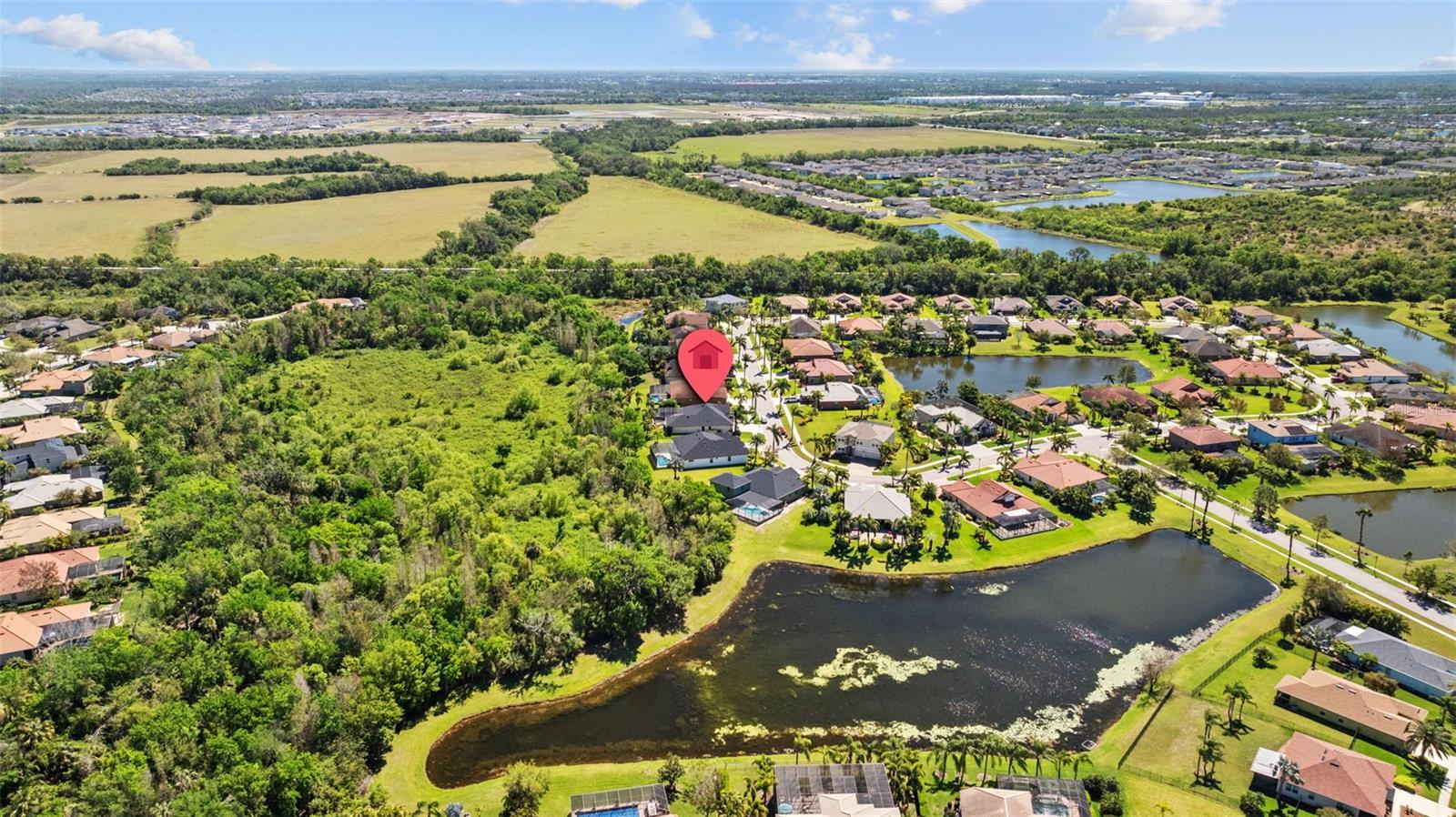 310 COCKLE SHELL LOOP