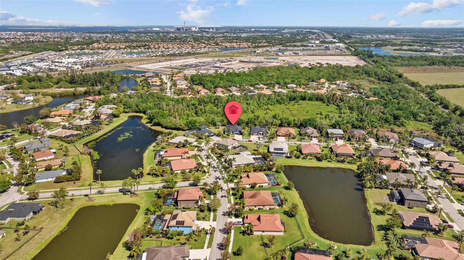 310 COCKLE SHELL LOOP