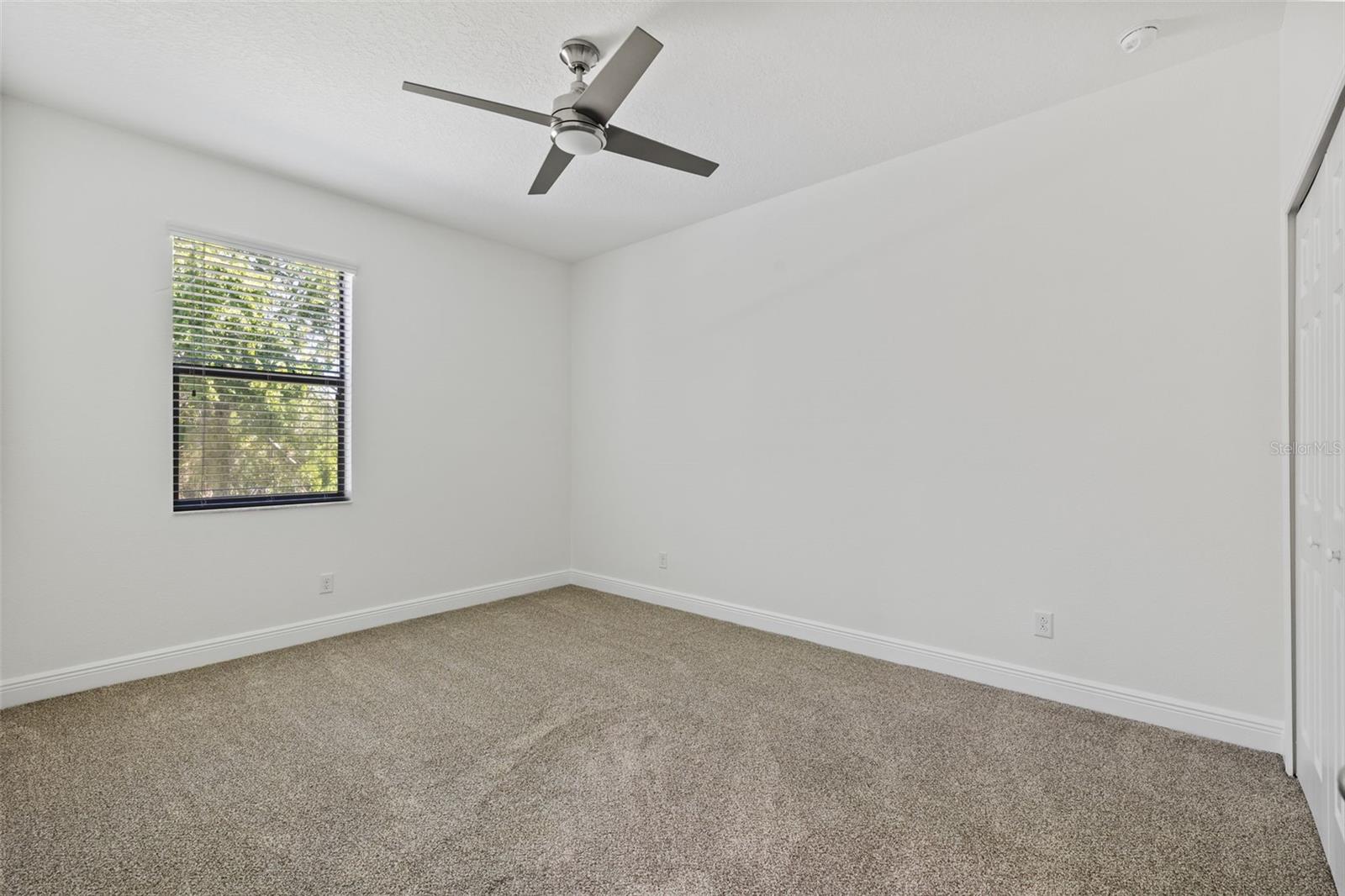 310 COCKLE SHELL LOOP