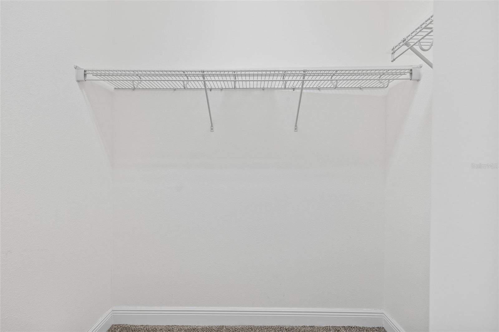 310 COCKLE SHELL LOOP