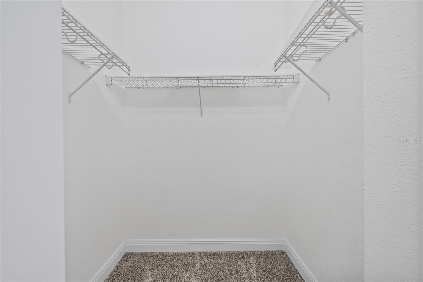 310 COCKLE SHELL LOOP