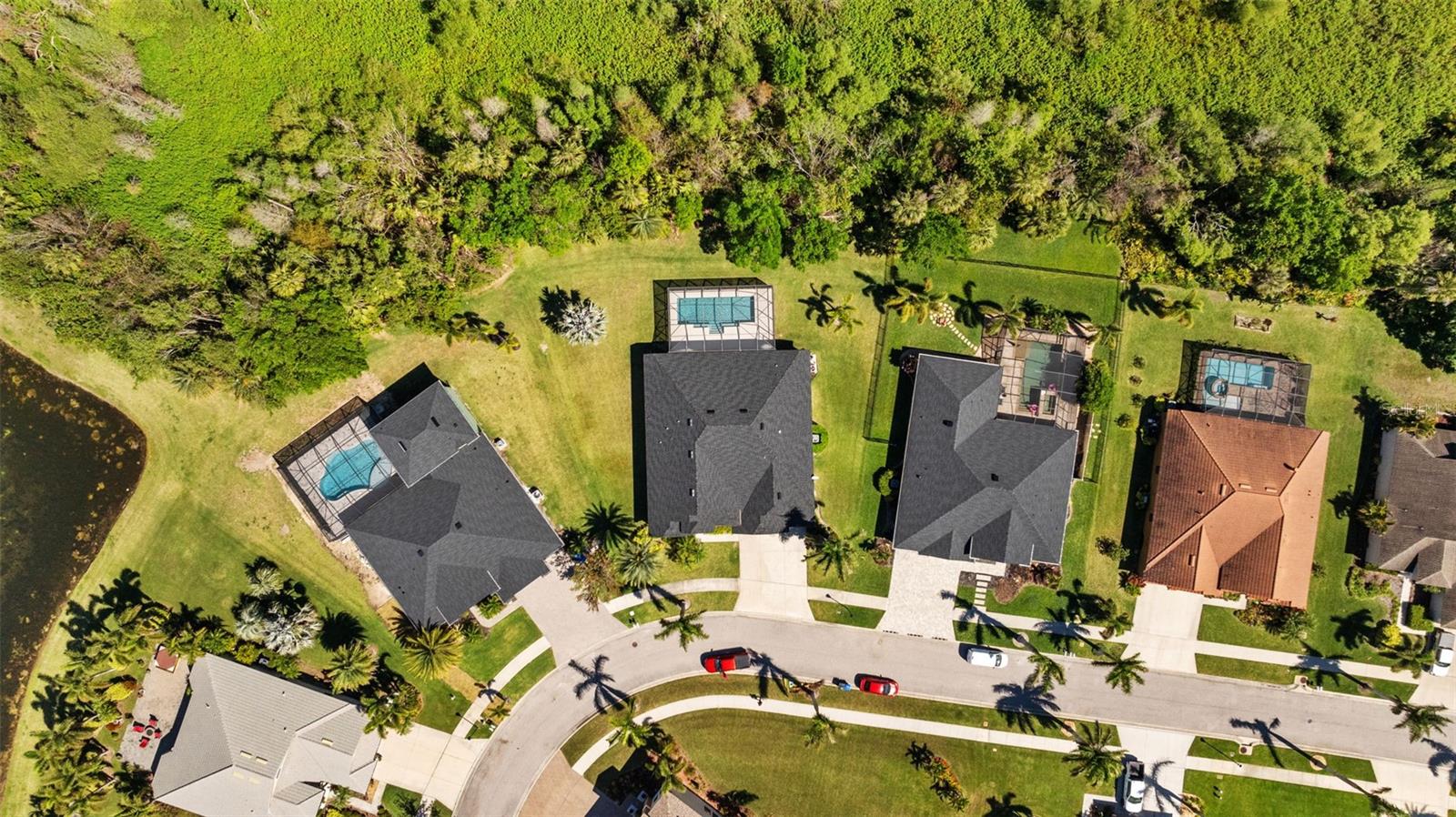 310 COCKLE SHELL LOOP