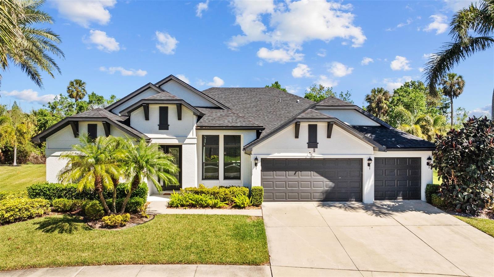 310 COCKLE SHELL LOOP