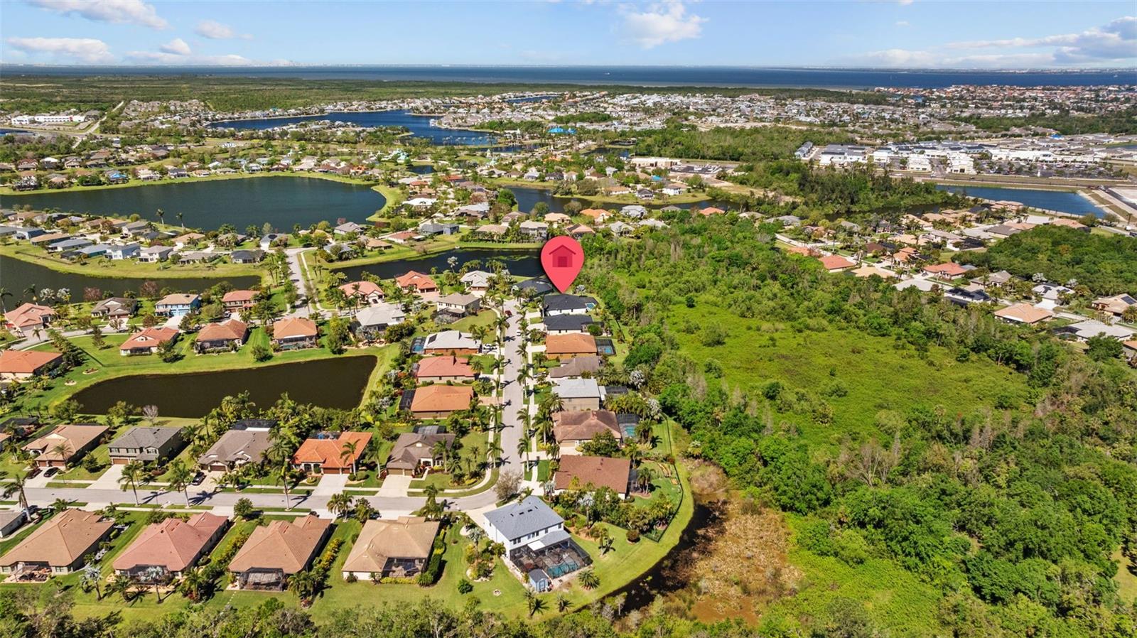 310 COCKLE SHELL LOOP