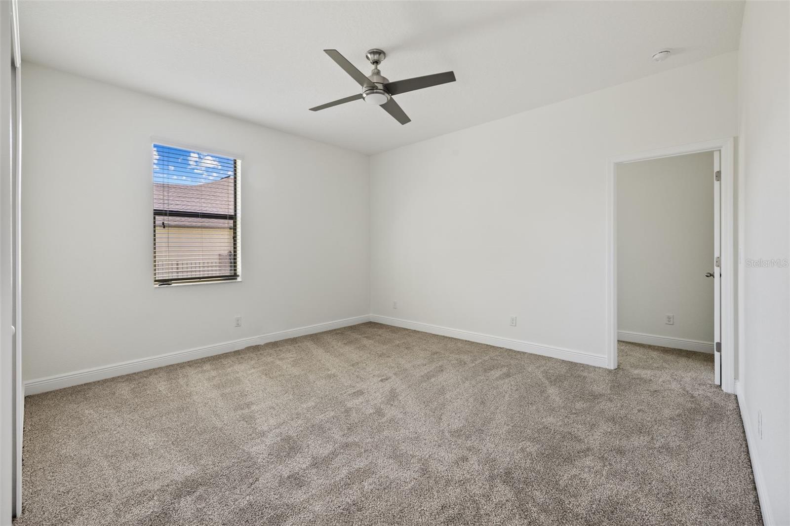 310 COCKLE SHELL LOOP