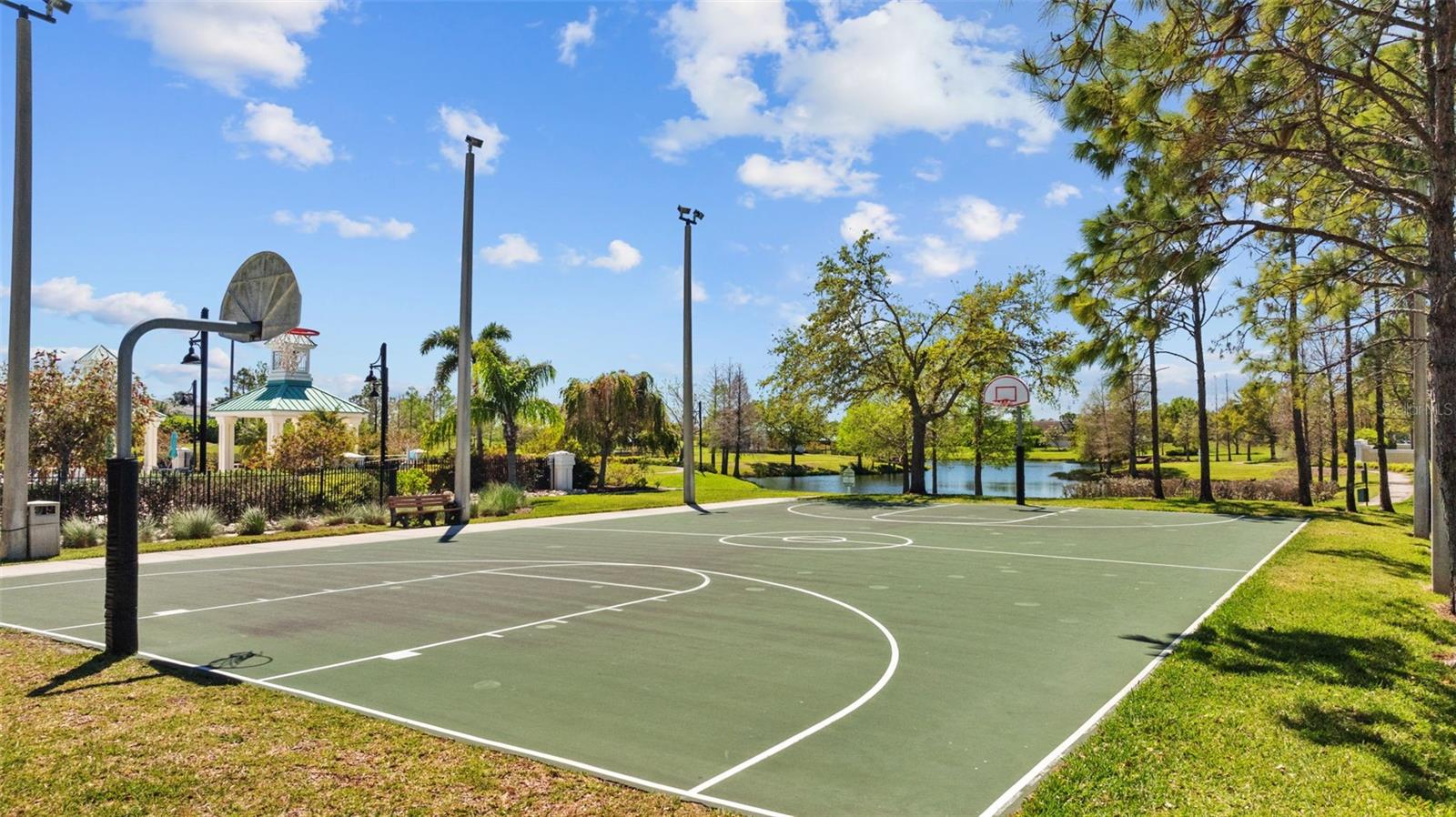 310 COCKLE SHELL LOOP