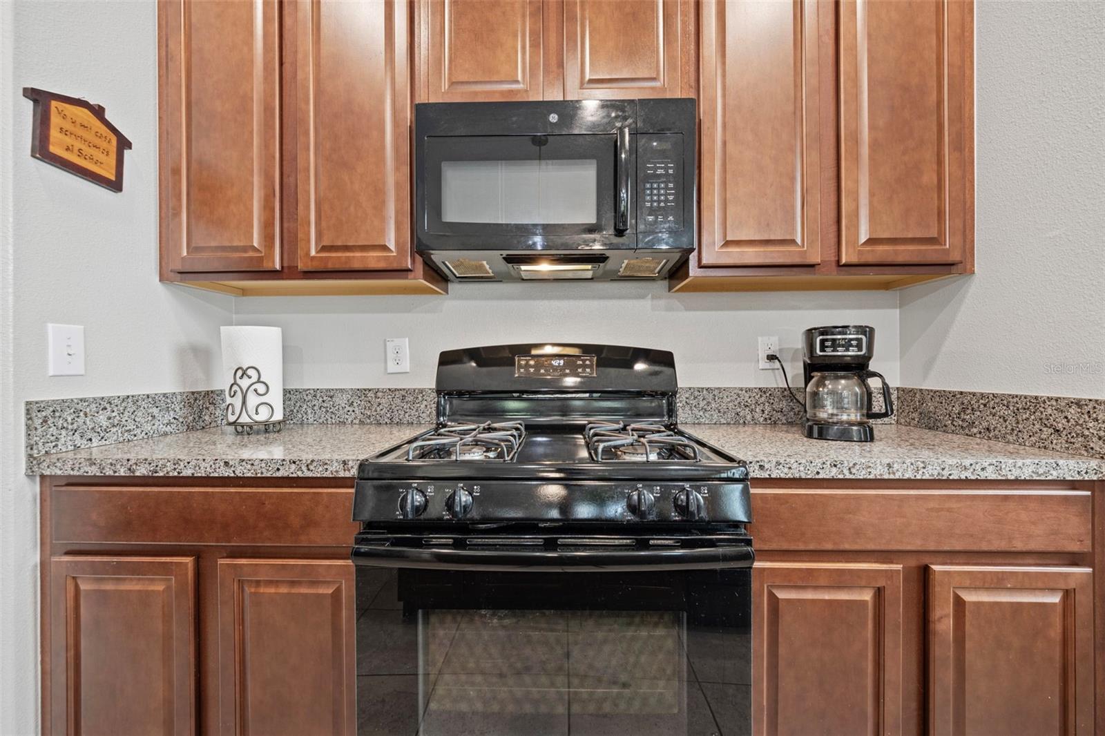 21362 WISTFUL YEARN DR