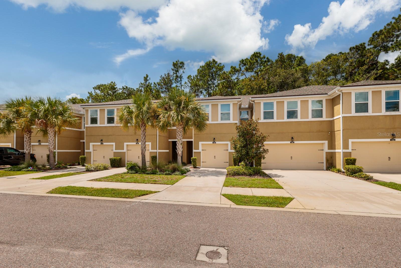 17860 ALTHEA BLUE PL