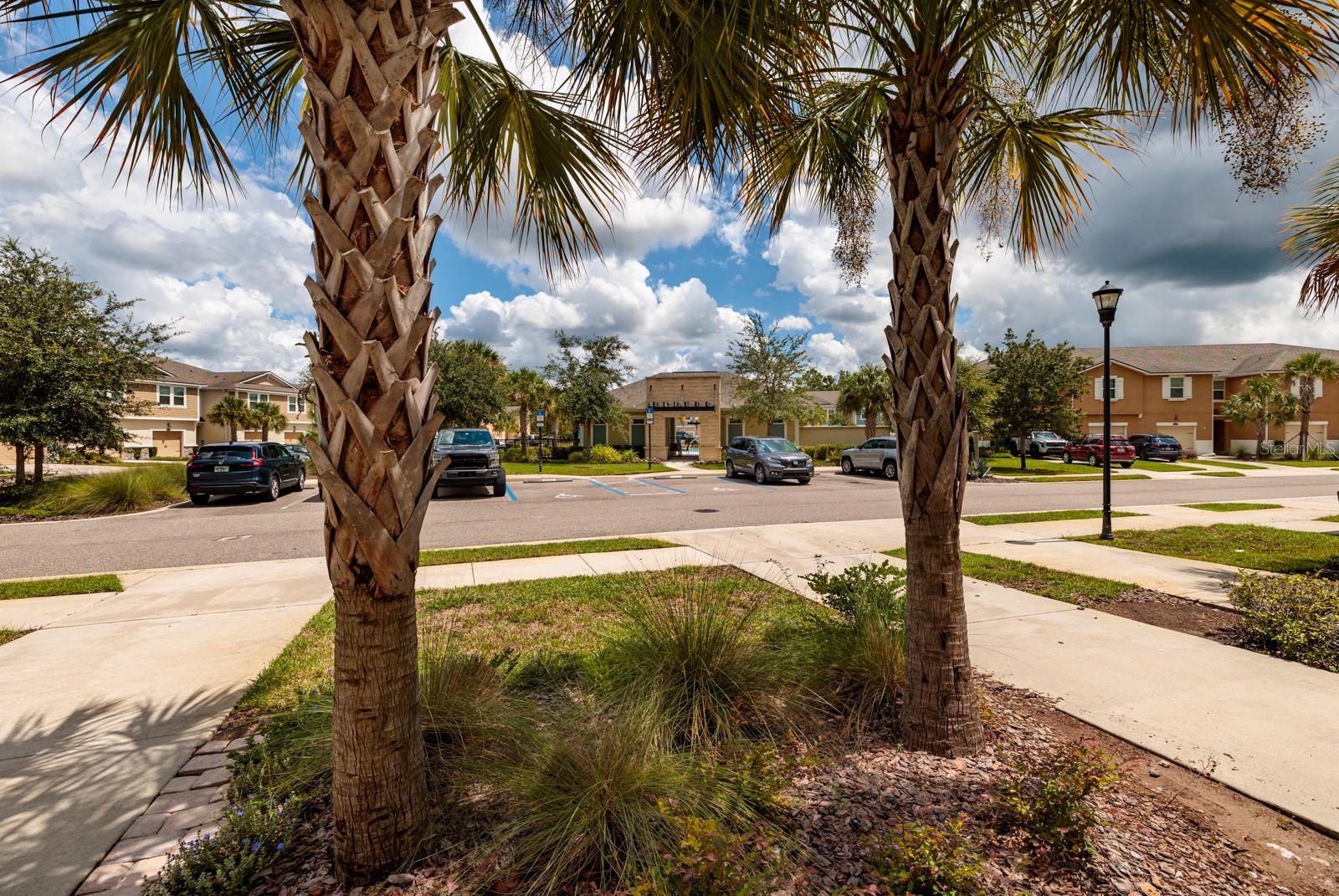 17860 ALTHEA BLUE PL