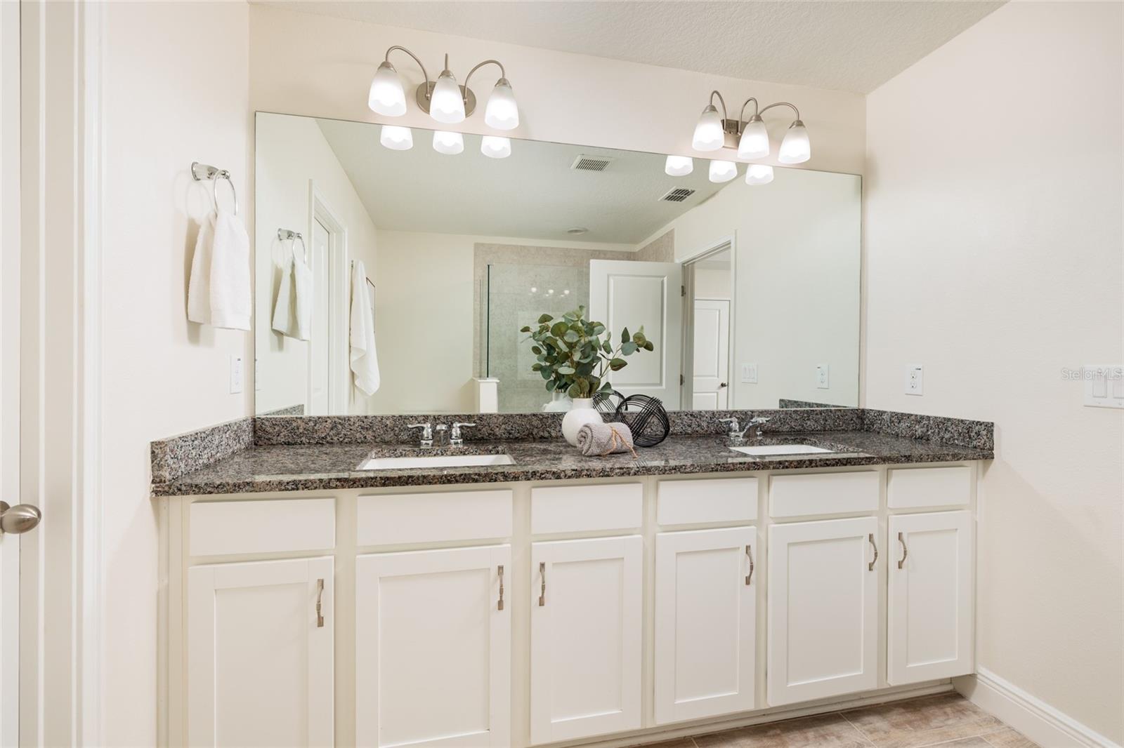 17860 ALTHEA BLUE PL