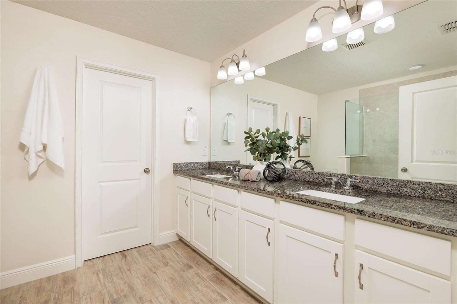 17860 ALTHEA BLUE PL