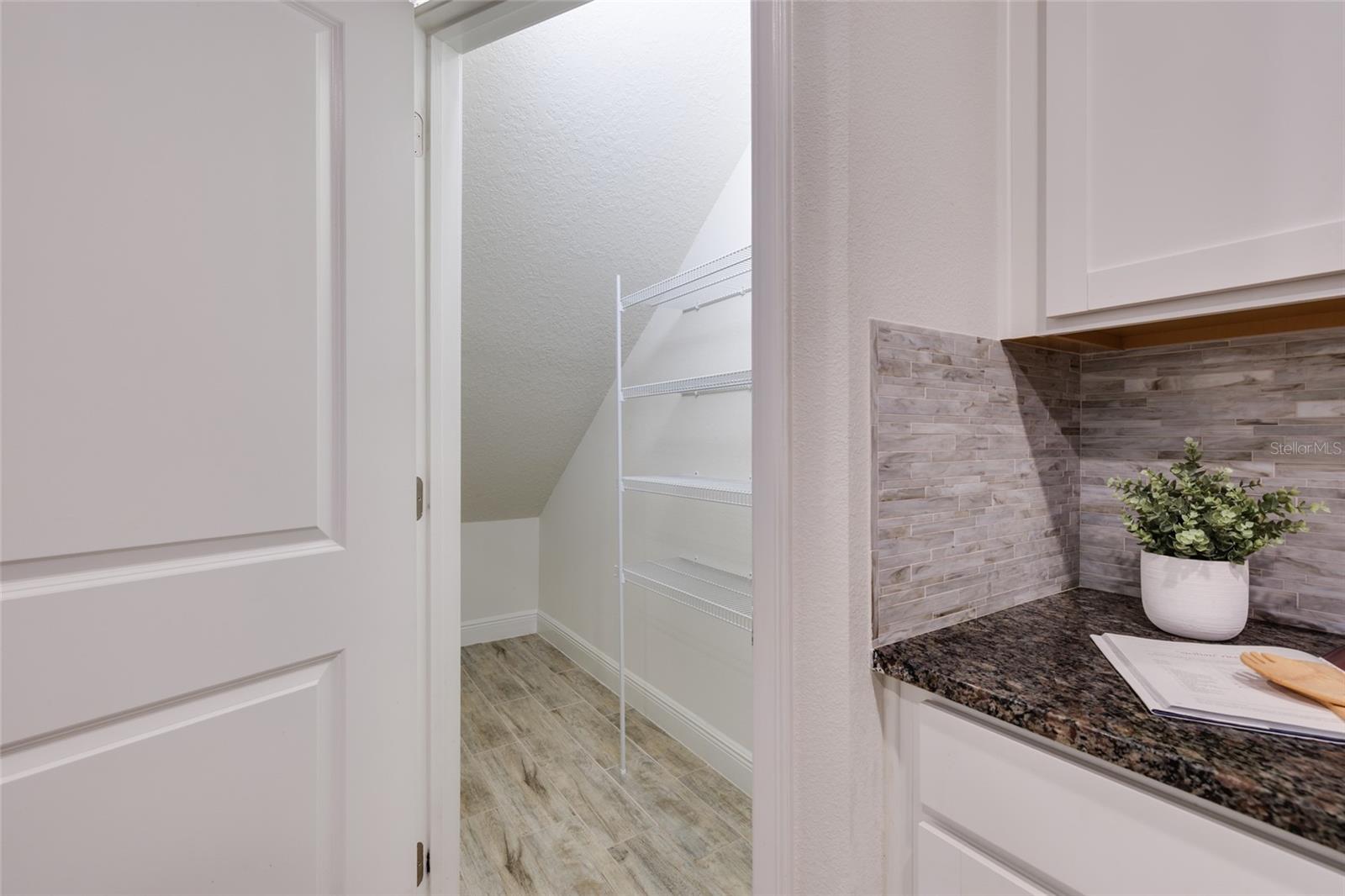 17860 ALTHEA BLUE PL