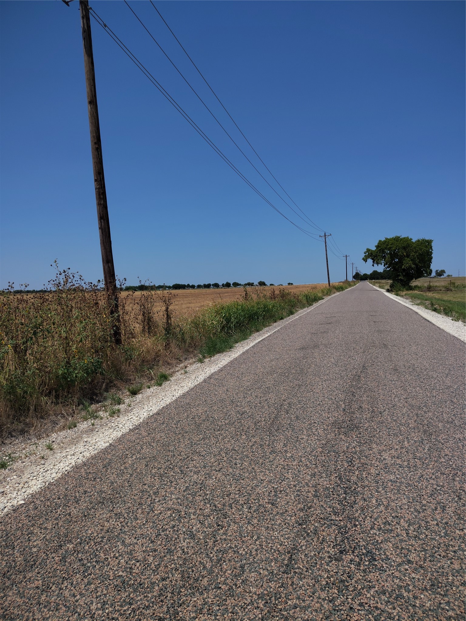 461 County Road 309