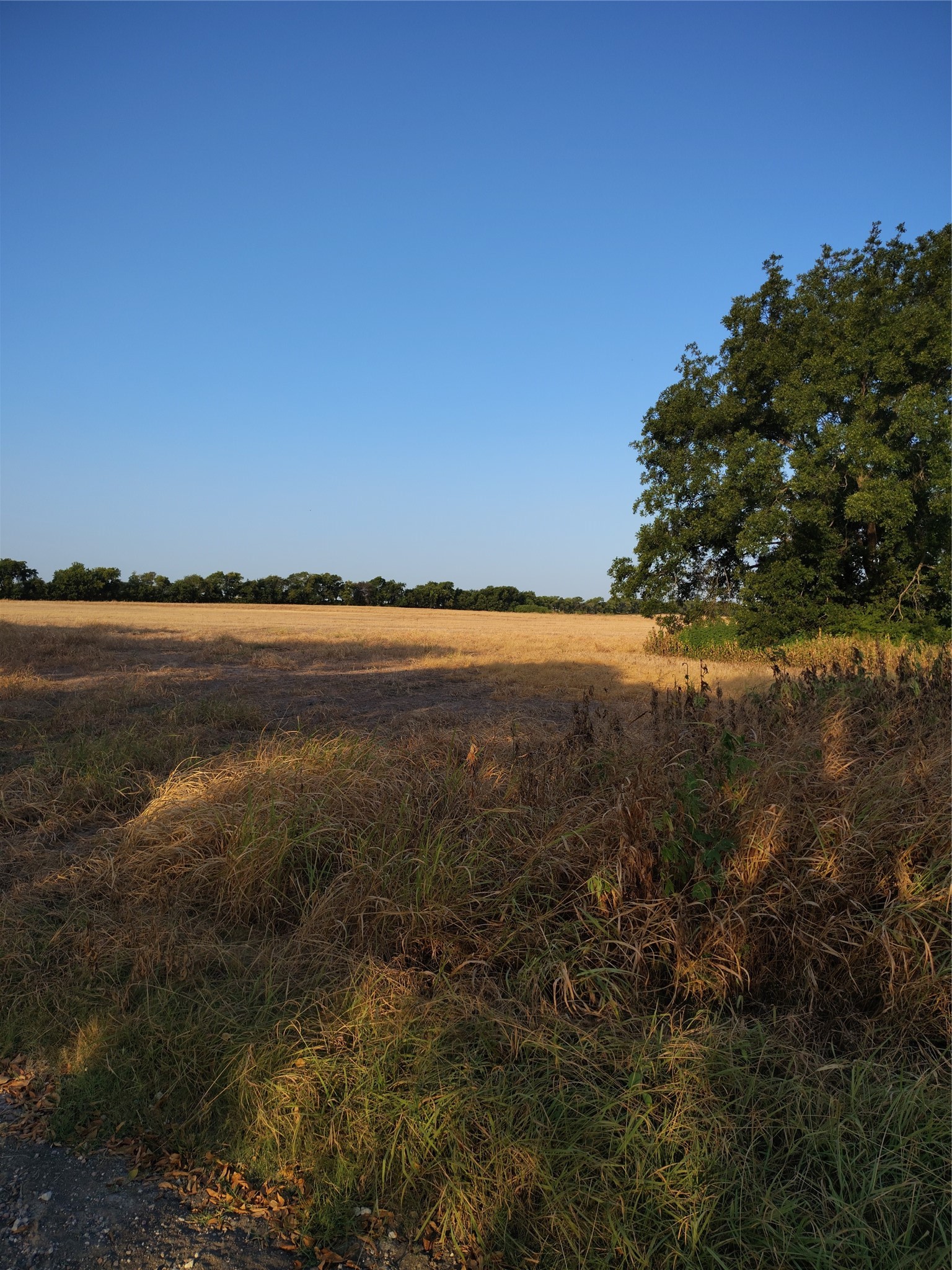 461 County Road 309